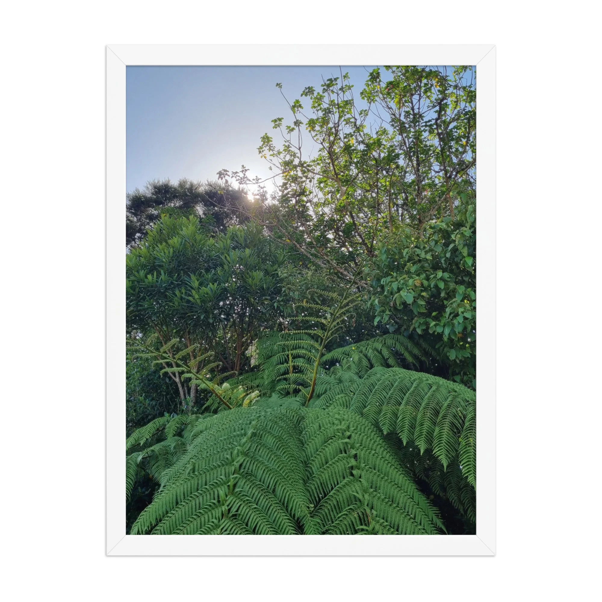 premium-luster-photo-paper-framed-poster-(in)-white-18x24-front-69eb12c74b234.jpg
