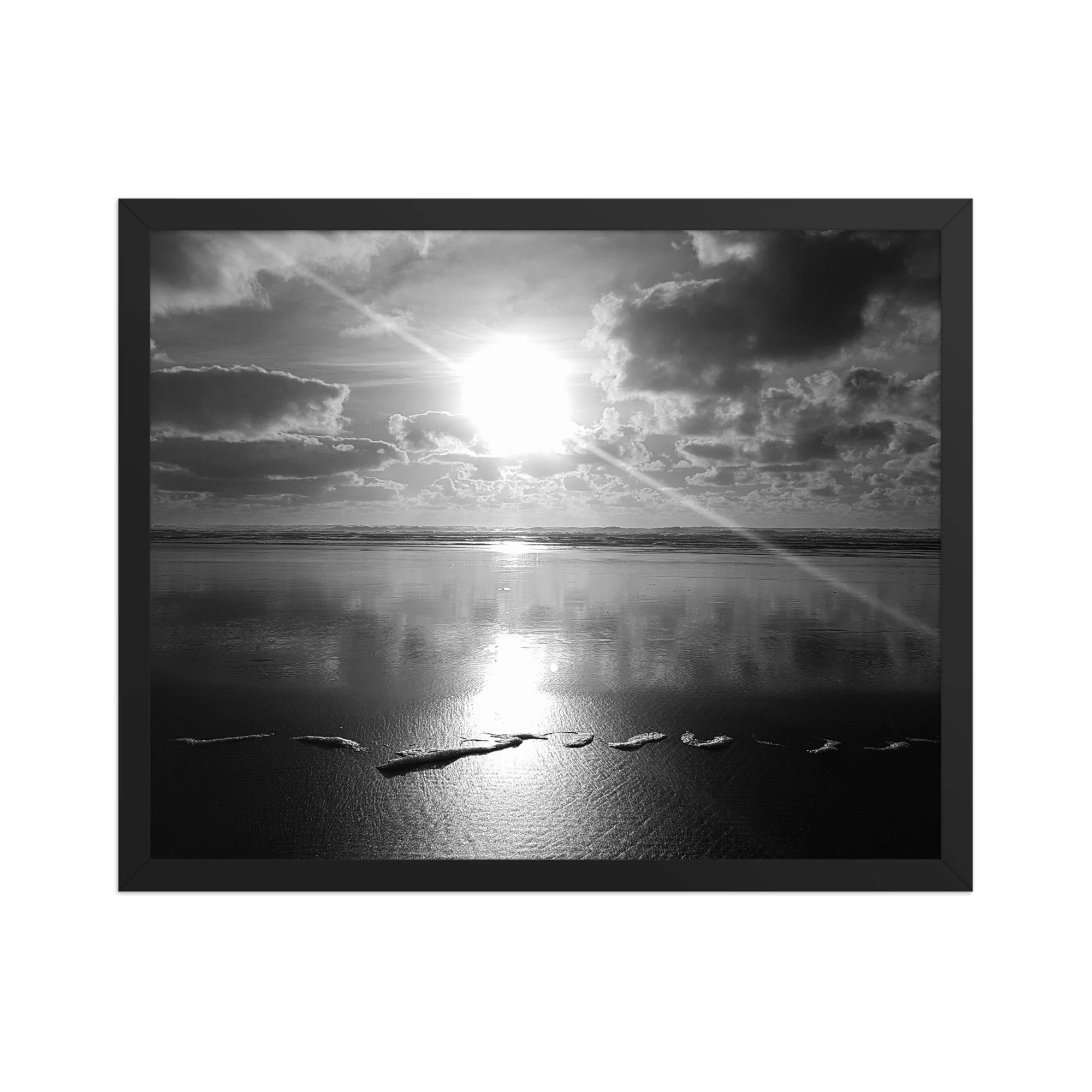 premium-luster-photo-paper-framed-poster-(in)-black-16x20-front-69ec5035e9d7f.jpg
