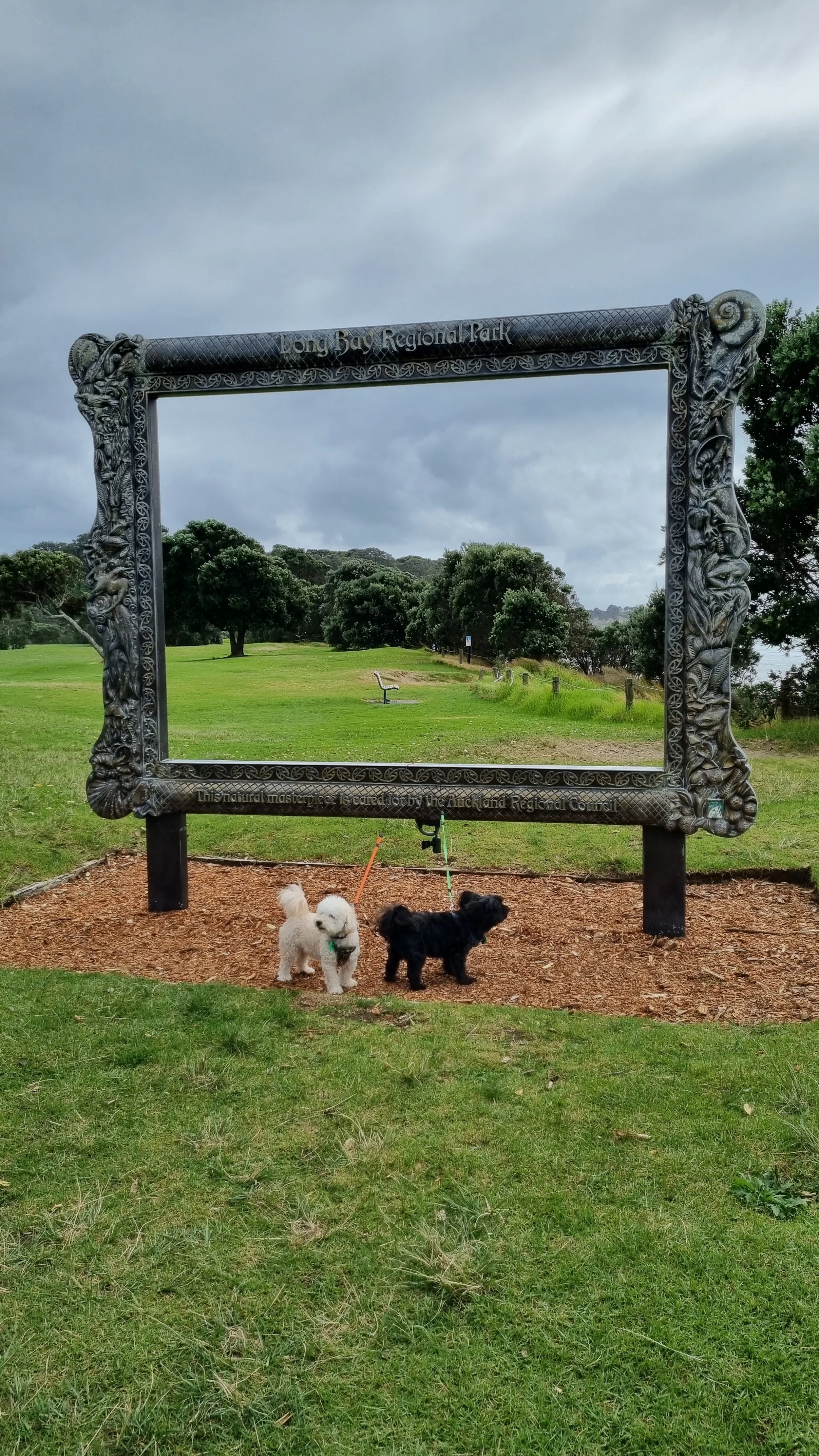 Two small dogs on leashes stand by a carved wooden frame in a grassy park.