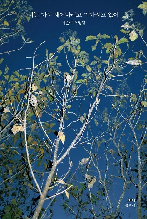 너는 다시 태어나려고 기다리고 있어 by 이슬아 Cover Image