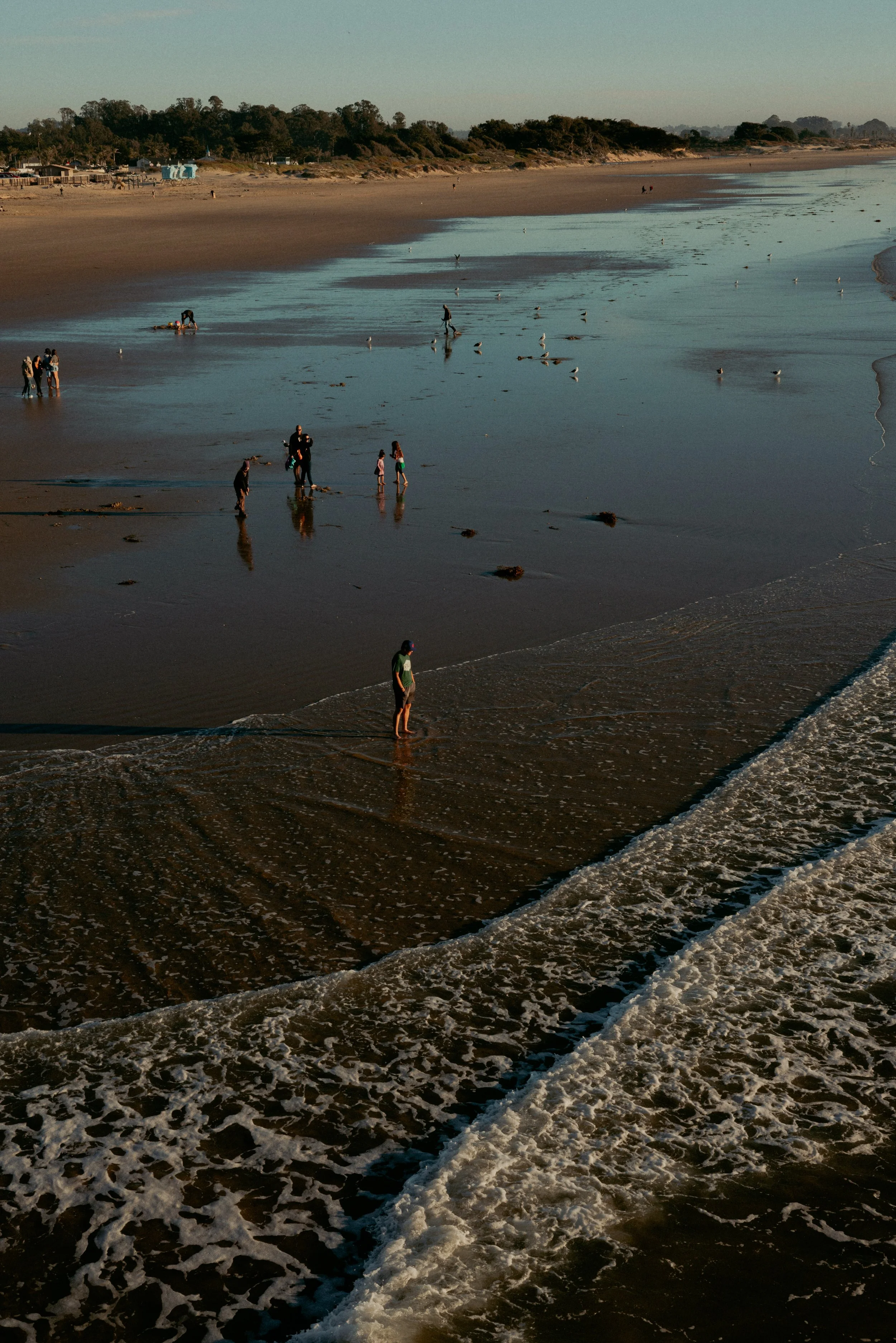 People walking along a wide sandy beach at low tide as waves roll in and shorebirds gather near the water.