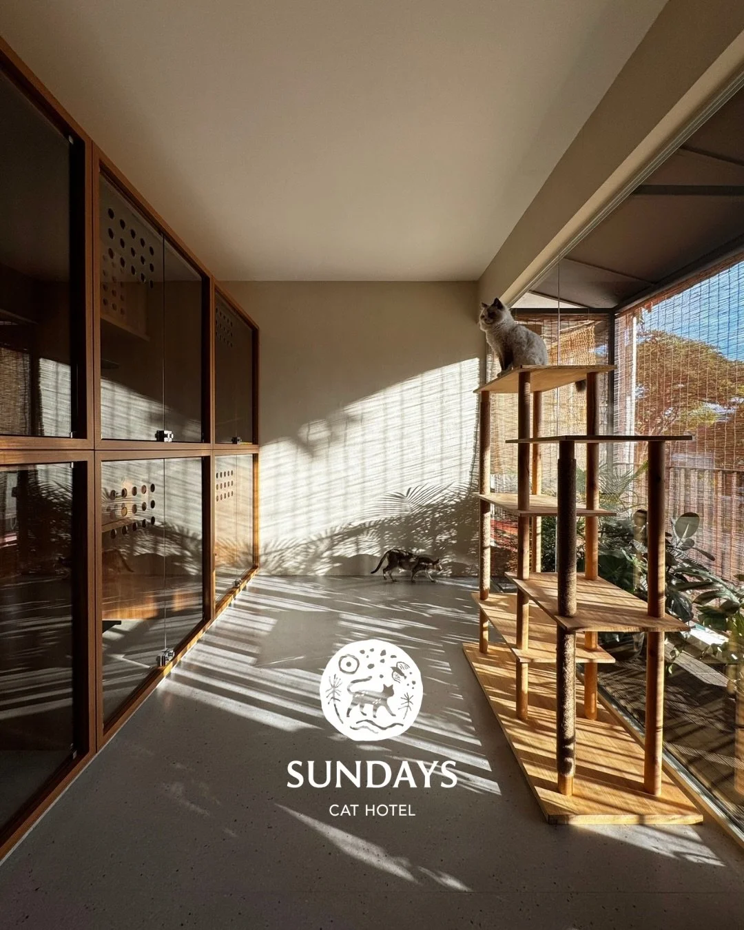 Sunlight and window views for every guest. 
#cathotel #sundayscathotel