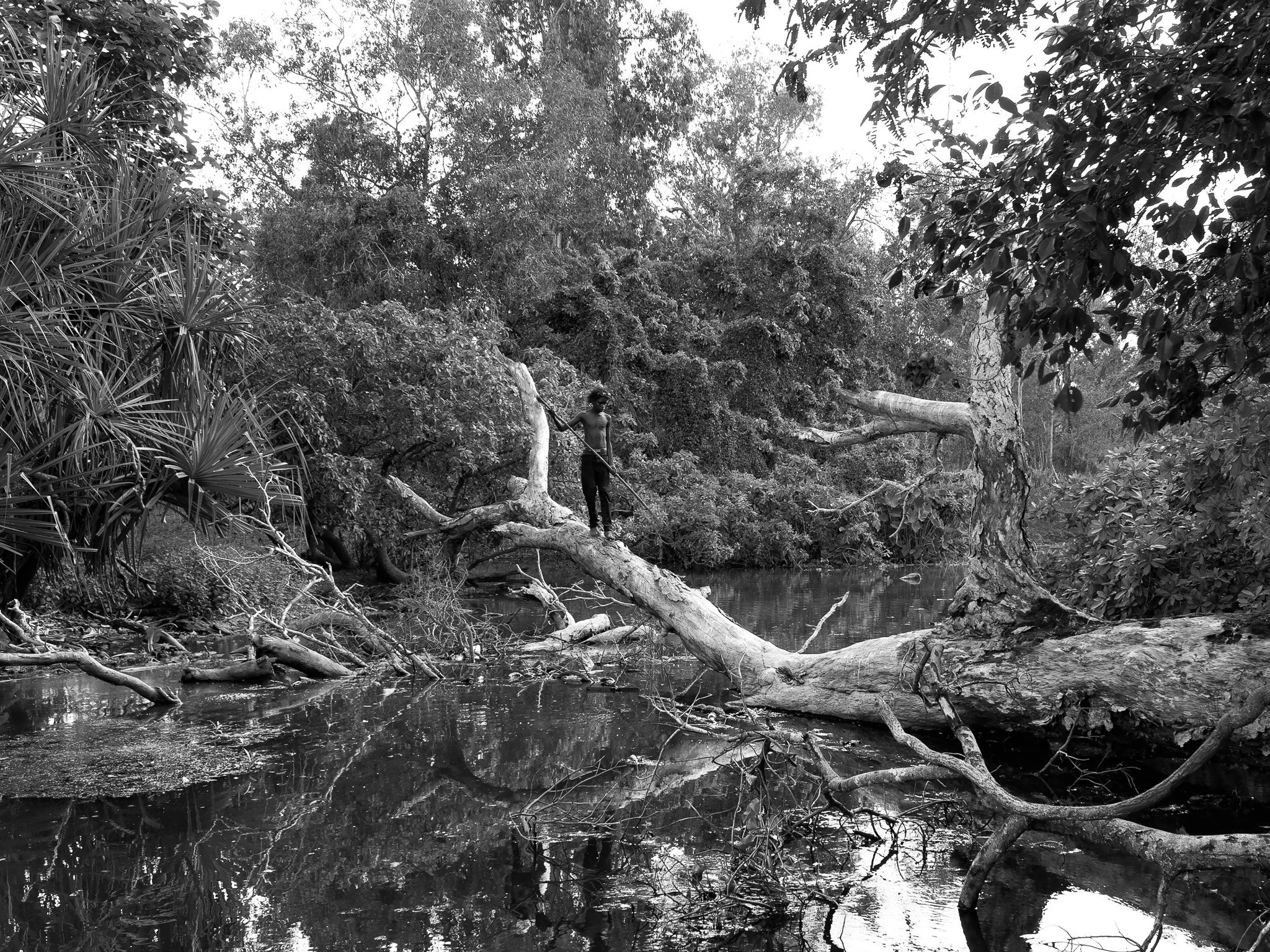 Scott_Finn_cass_hunting_at_Mayung_Creek_2022.jpg
