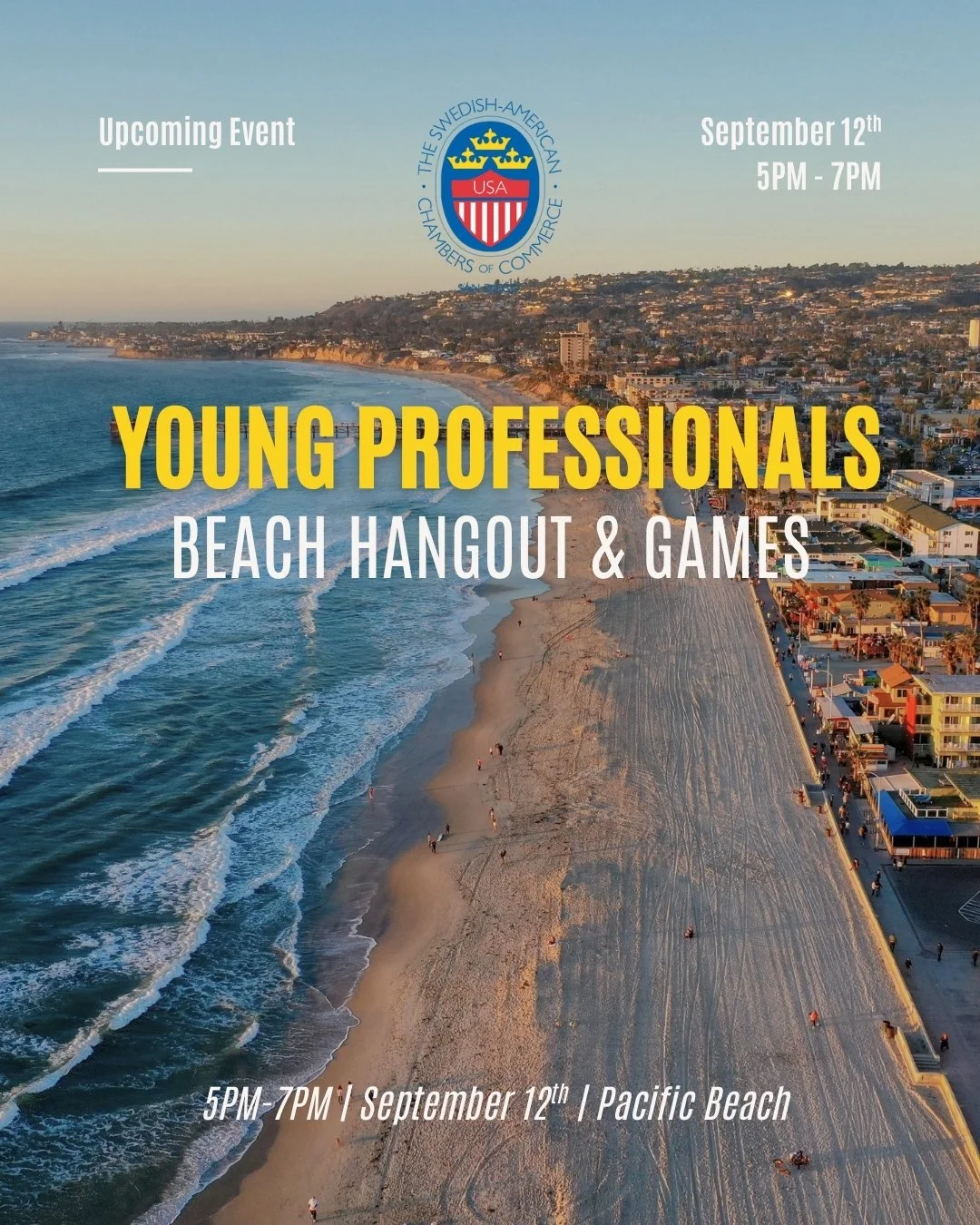 Young Professionals Beach Hangout & Games