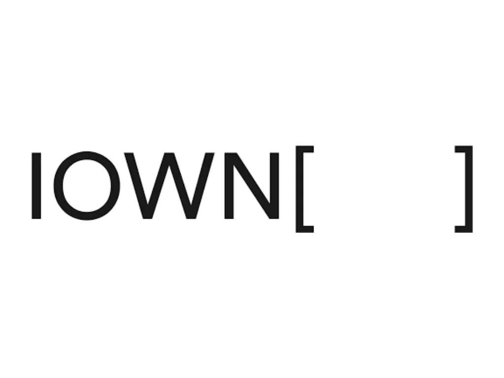 The image shows the logo "IOWN Renewable Energy Inc." written in black text.