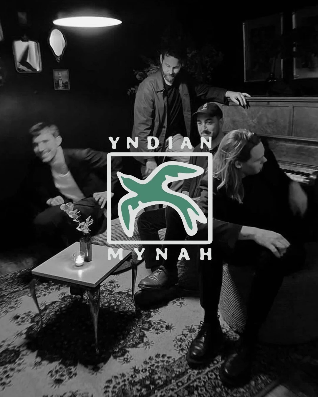 Yndian Mynah
