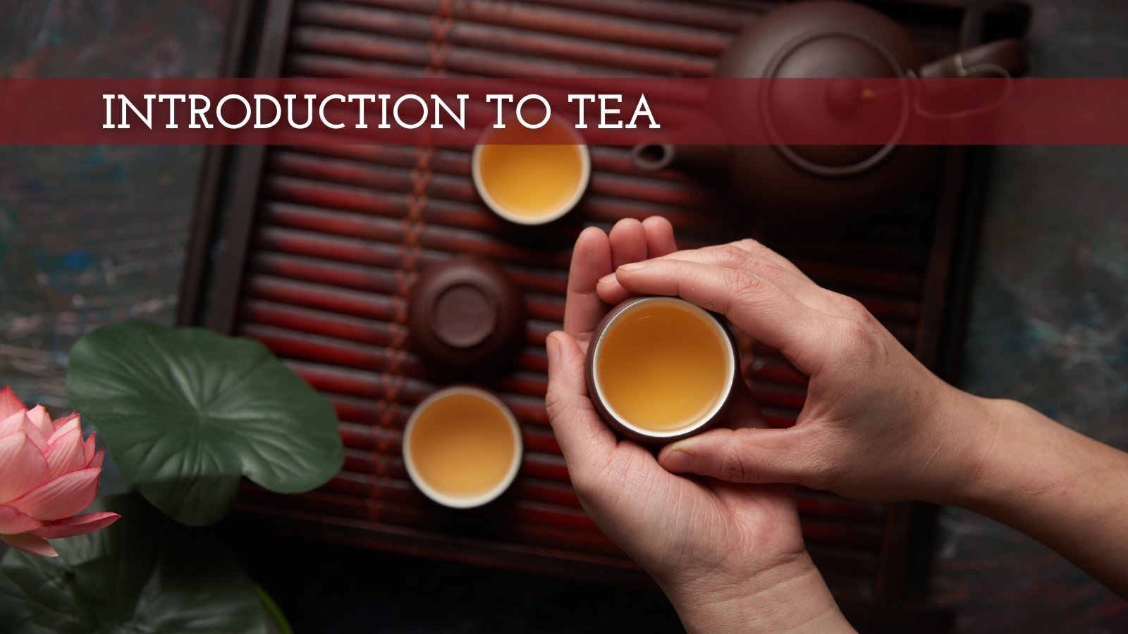 An Introduction to Tea