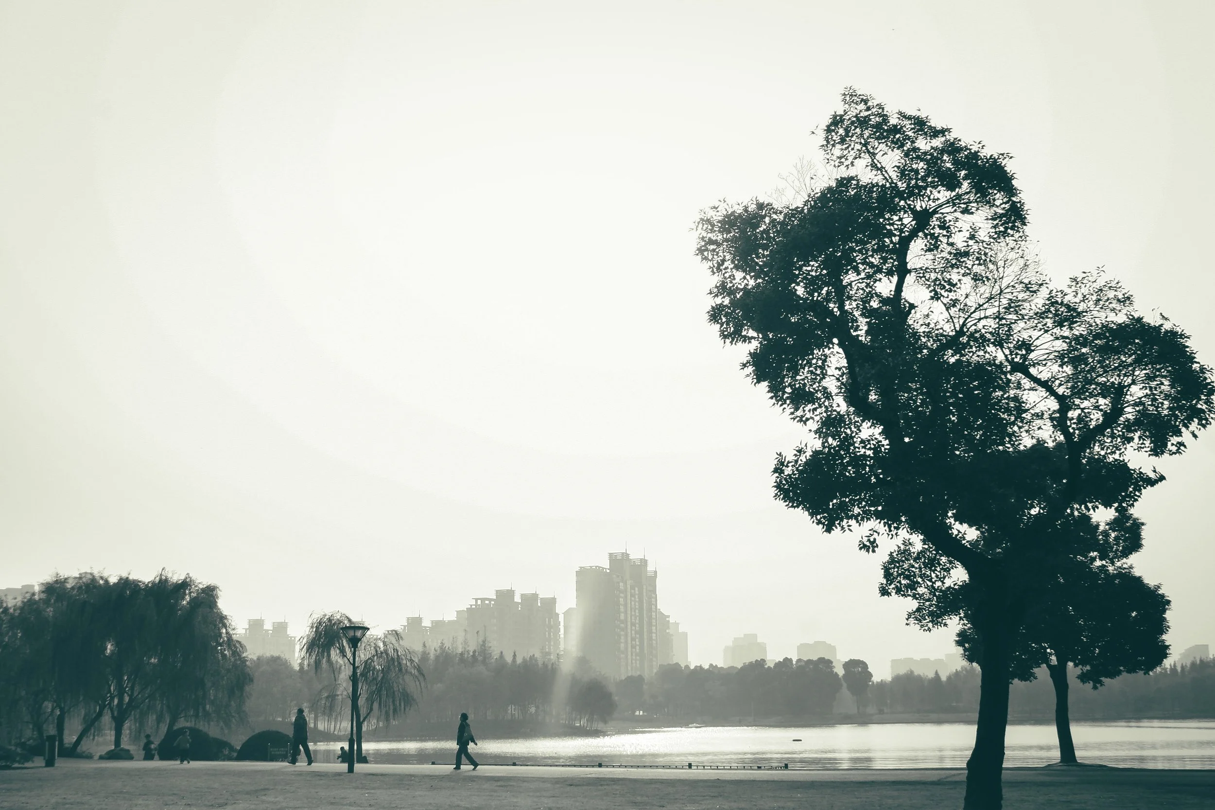 Shanghai VIII 048.jpg