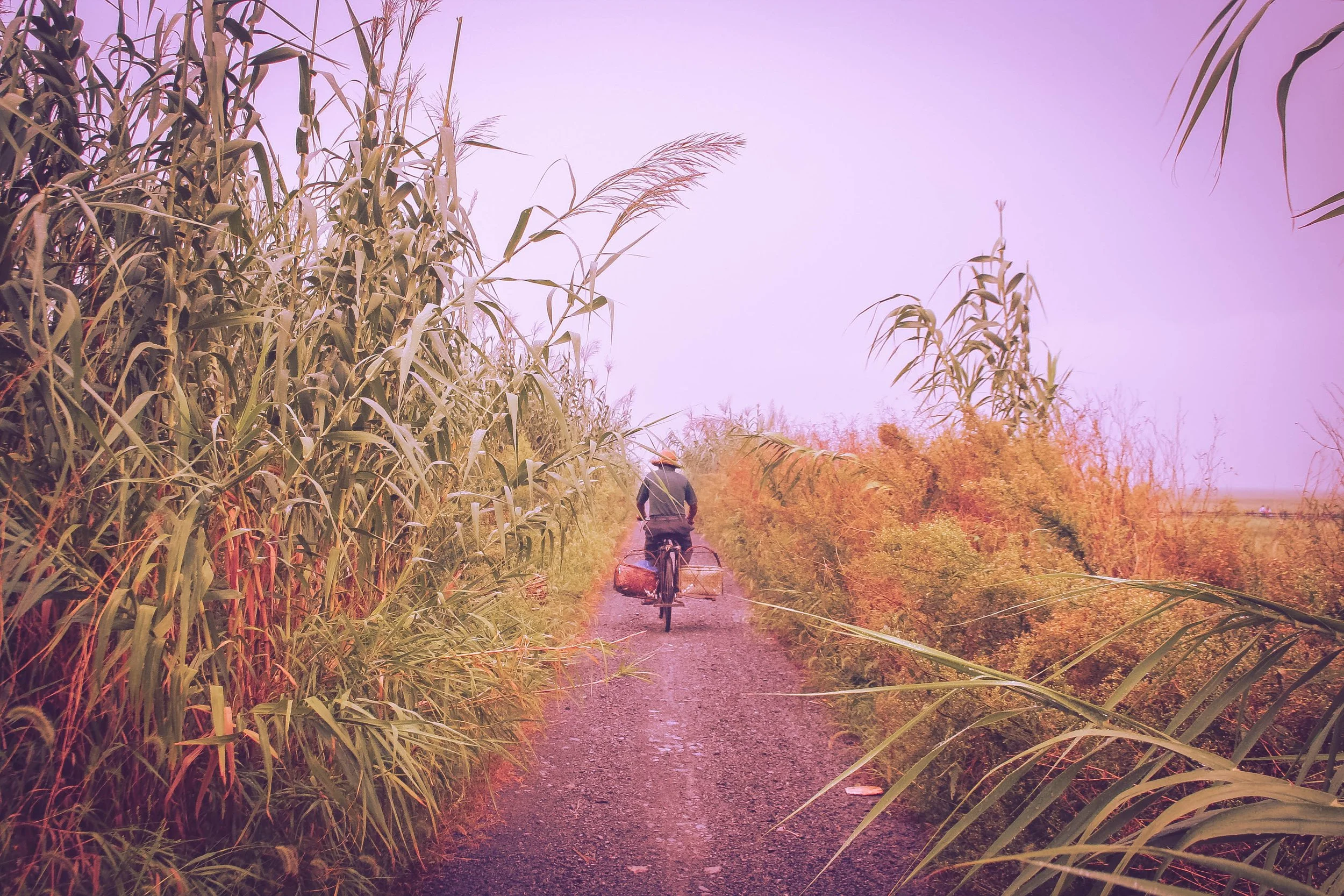 Capture Chongming Competition 048.jpg