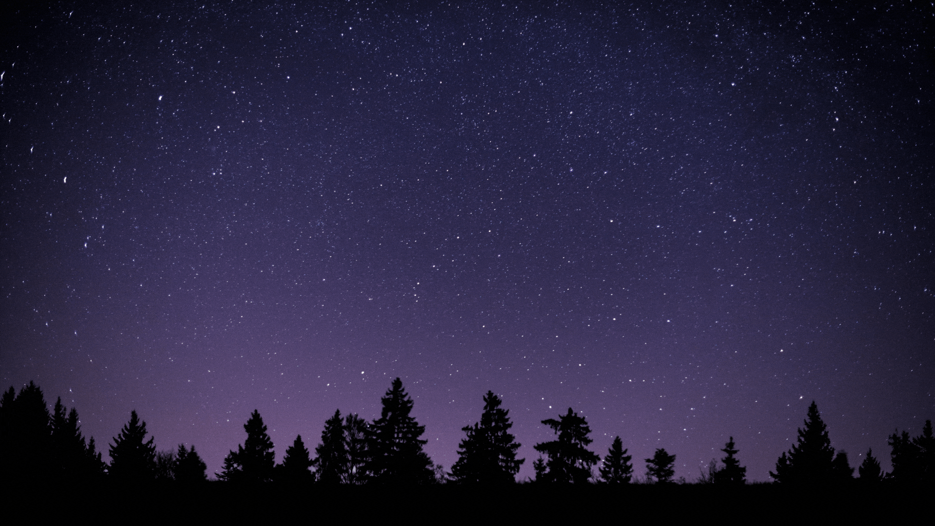 YouTube Theme Banner Ideas.gif