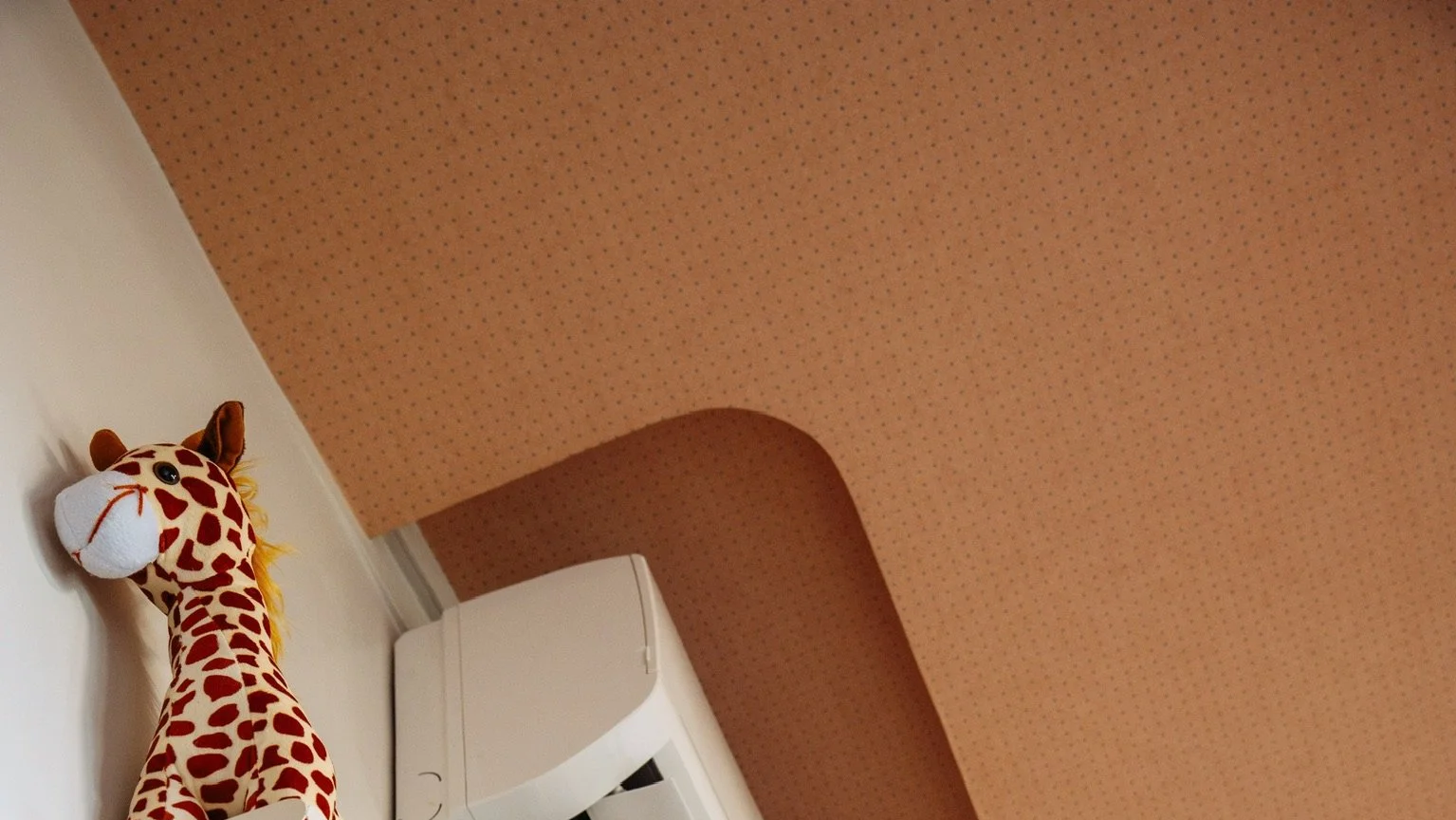 IMG_4665.png