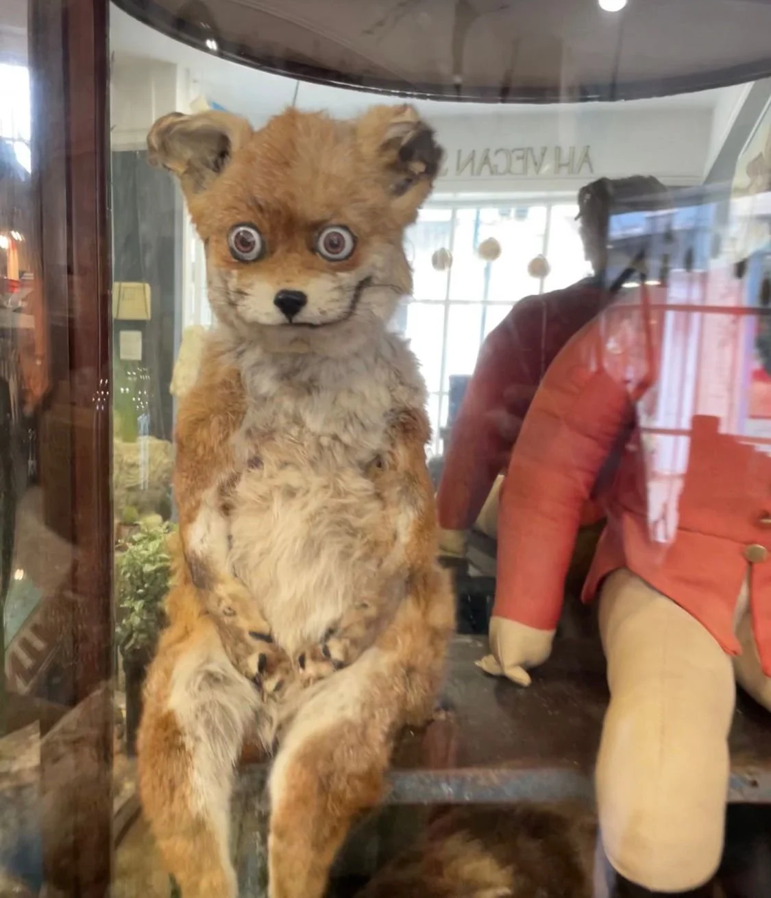May Round-Up: A Bug-Eyed Fox &amp; Works of Art