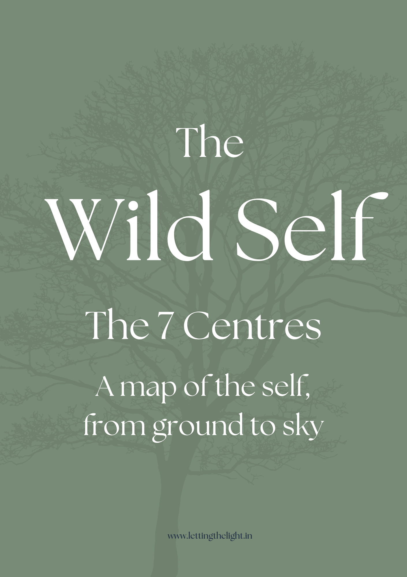 The Wild Self - 7 Centres - Cover.png
