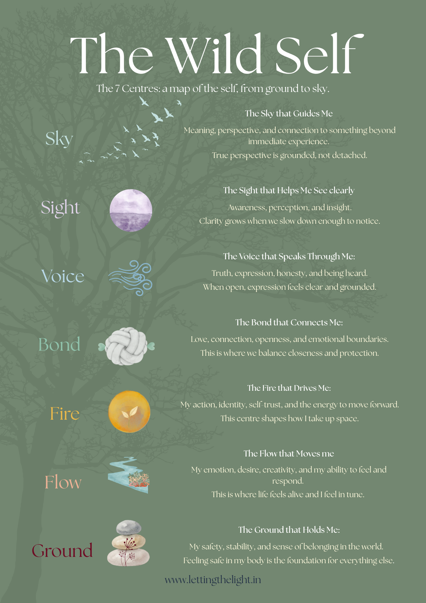 7 Centres of the The Wild Self: 1-1 Energy Centre Program