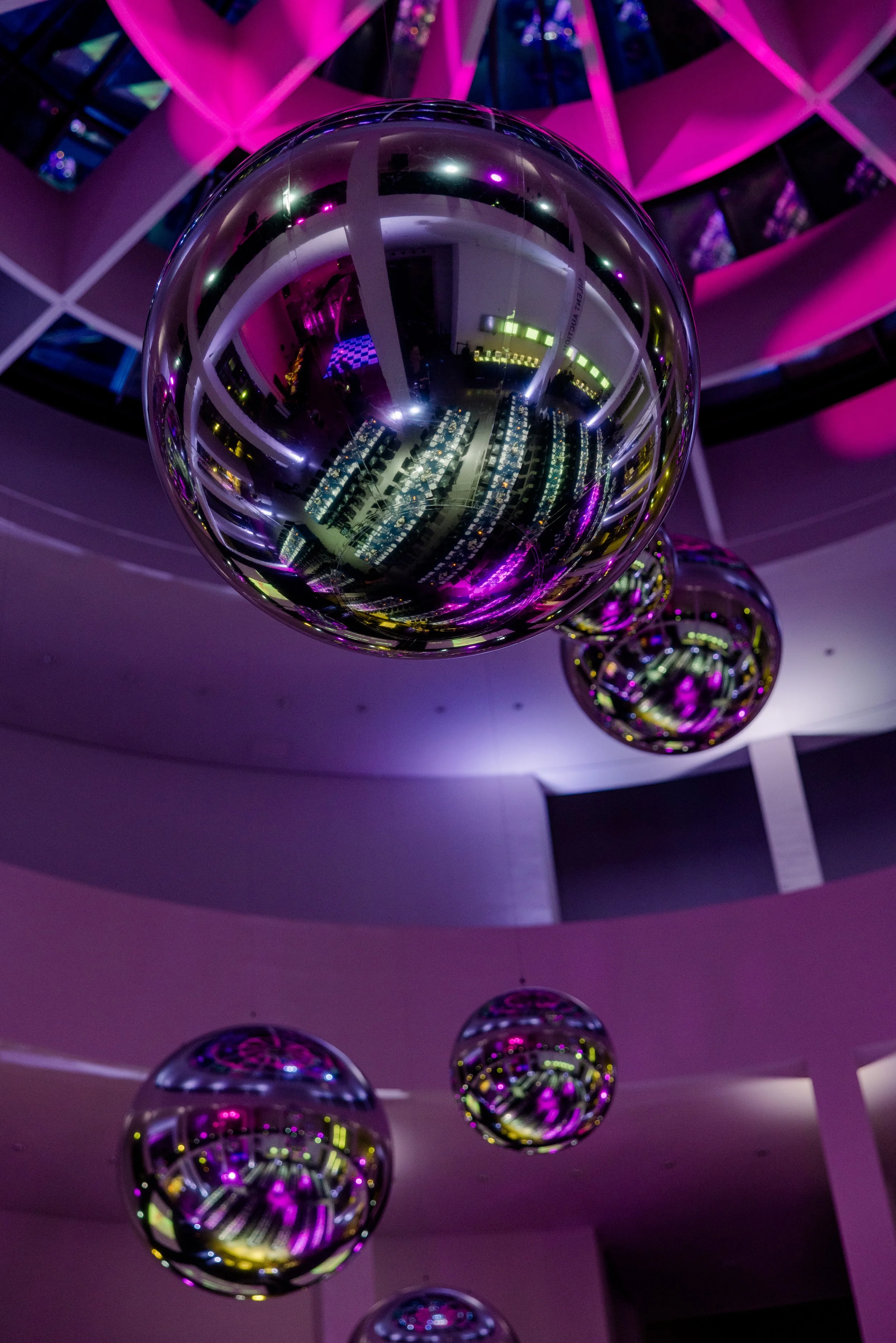 PinAuktion2025_©LaRoccaPhoto-74.jpg