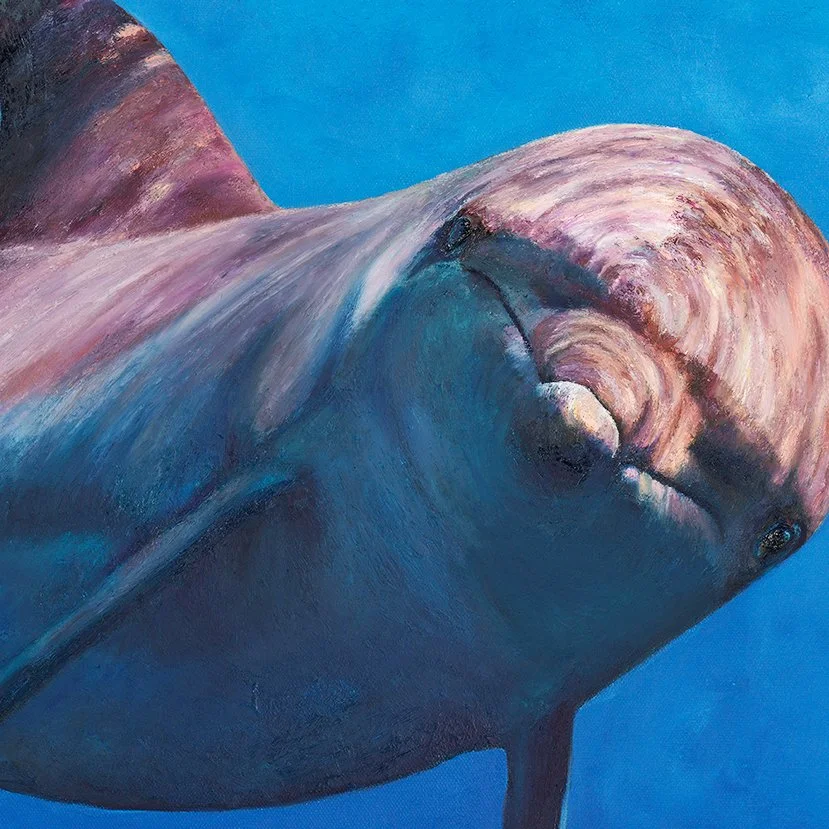 DolphinCrop.jpg