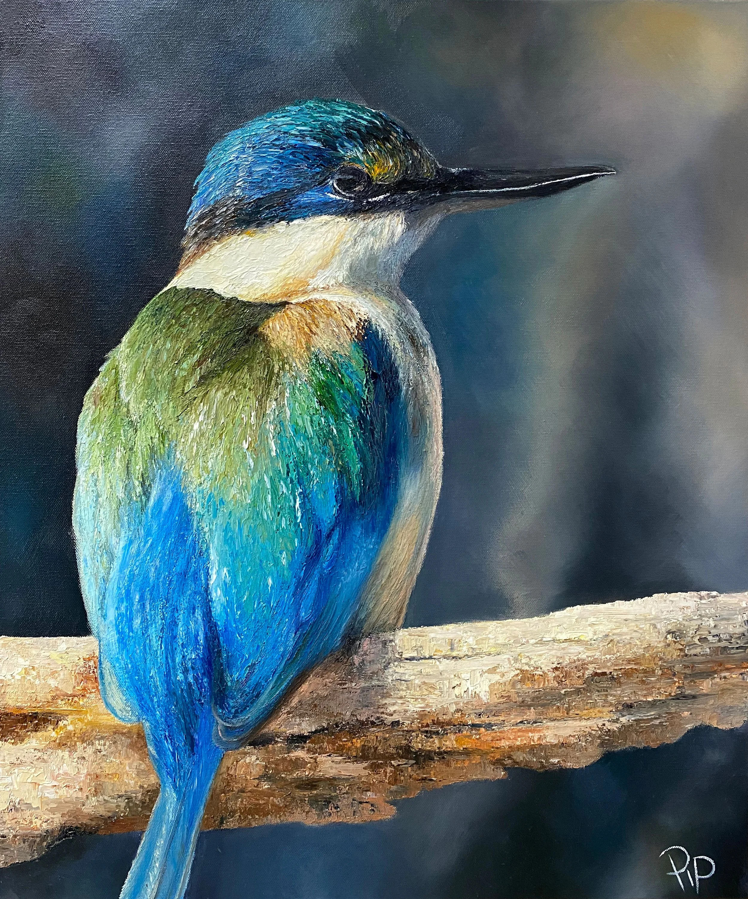 Australian turquoise-green kingfisher original oil on canvas
