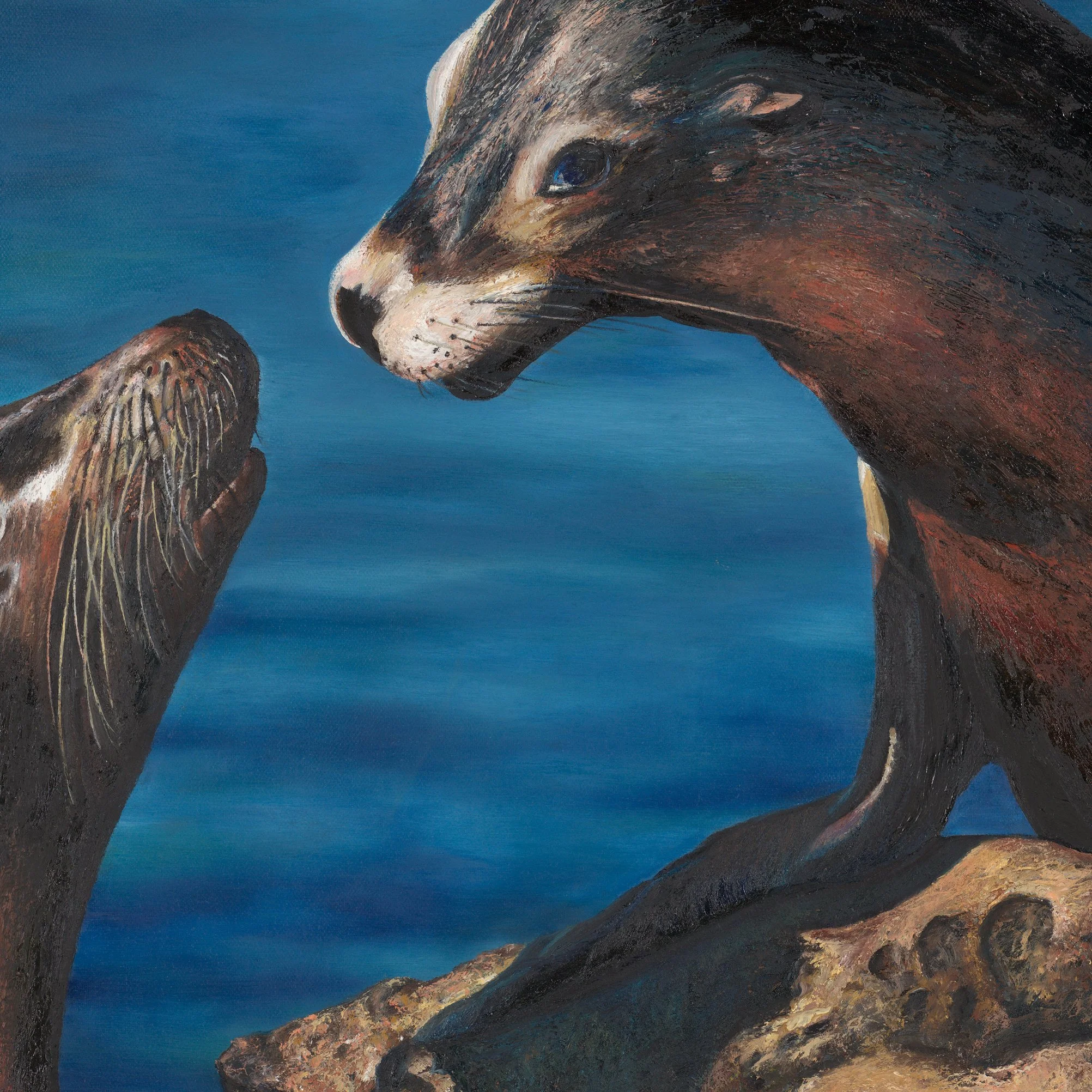 Seals.jpg