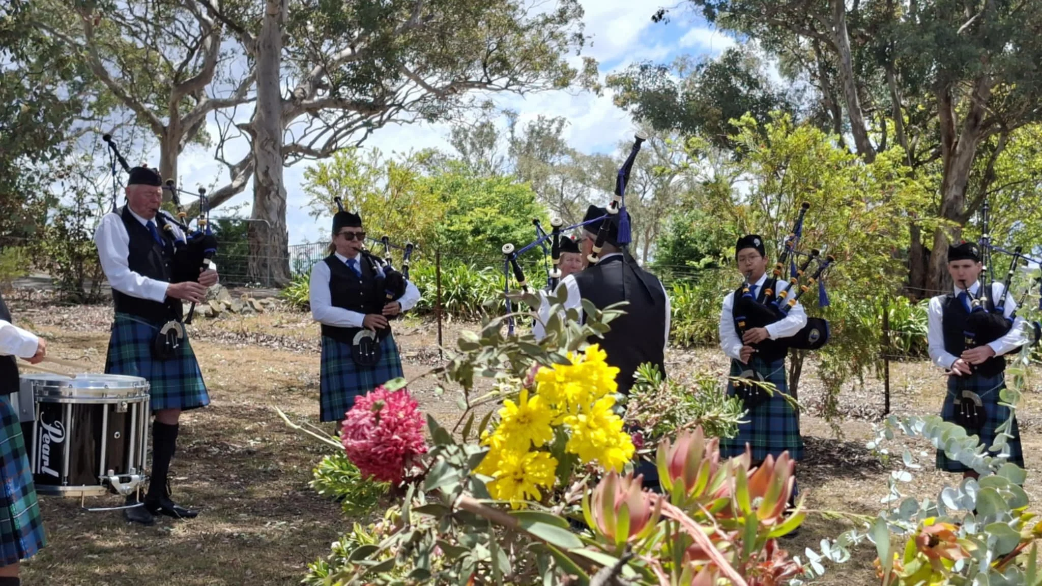 Flowers of the forest!