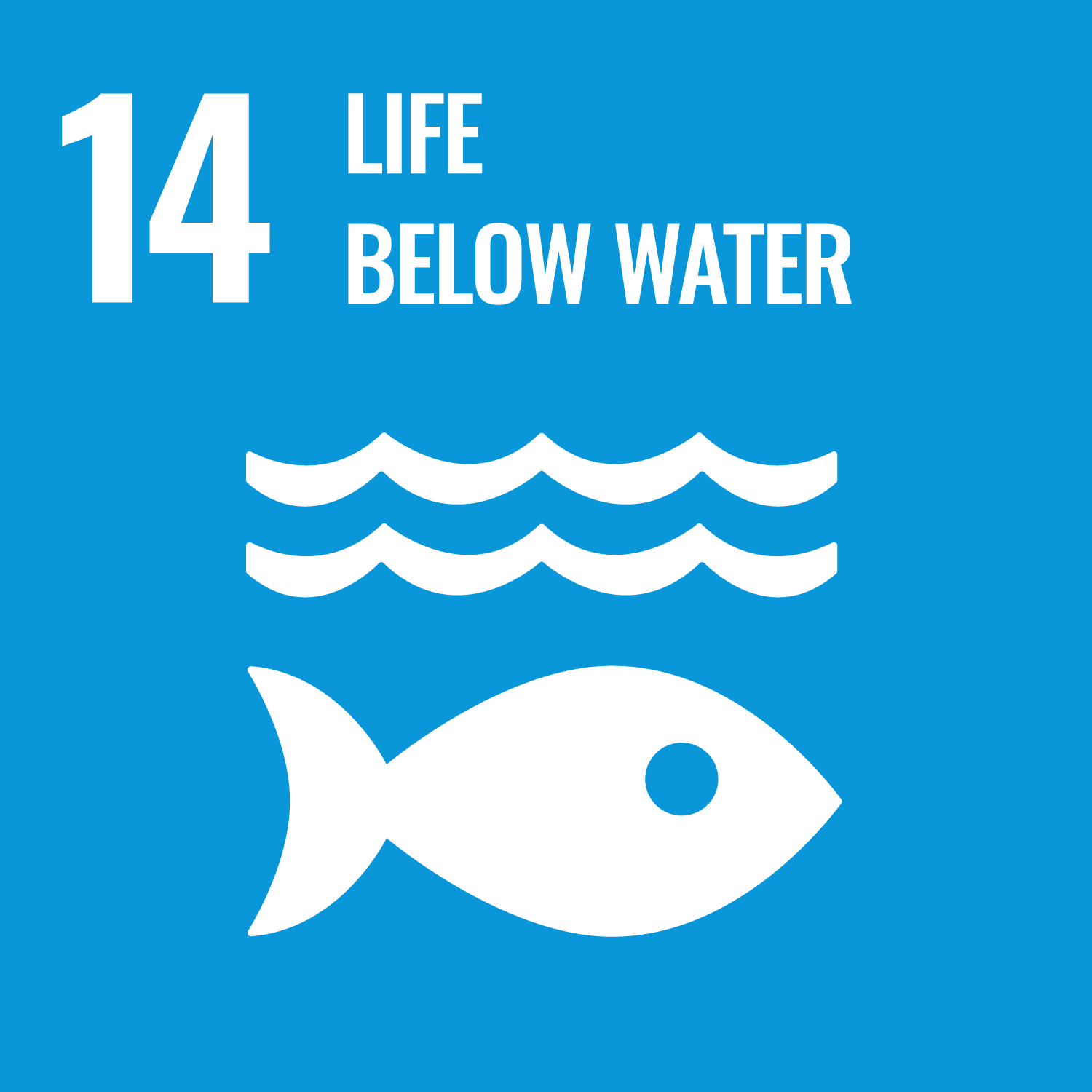 Icon representing Sustainable Development Goal 14: Life Below Water, featuring a fish, water waves, and the goal number 14.