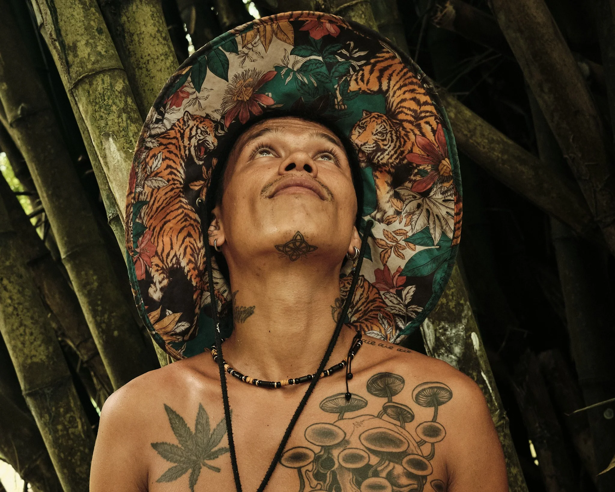 Palomino, Colombia 2026