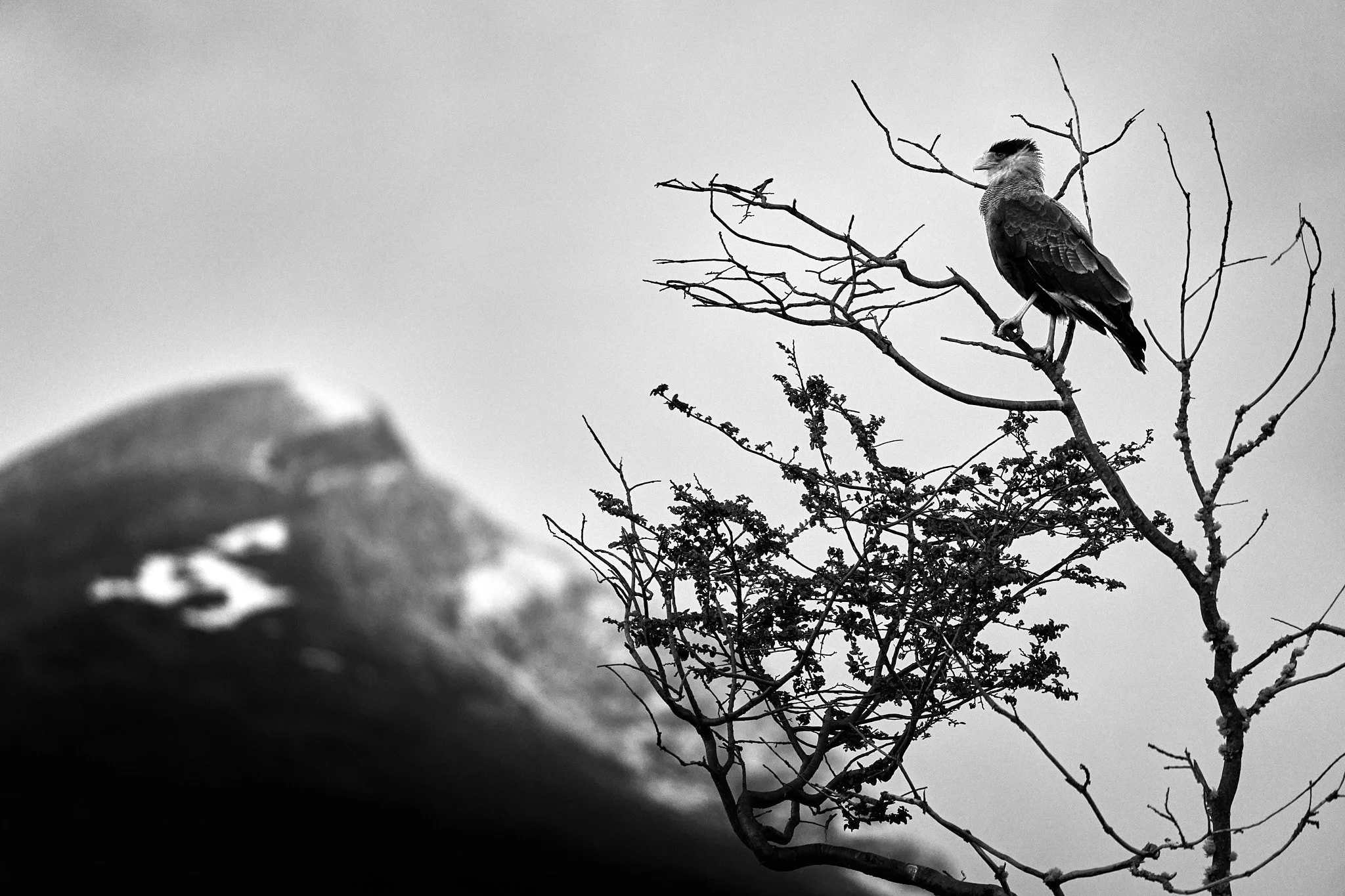 Tierra del Fuego, Argentina