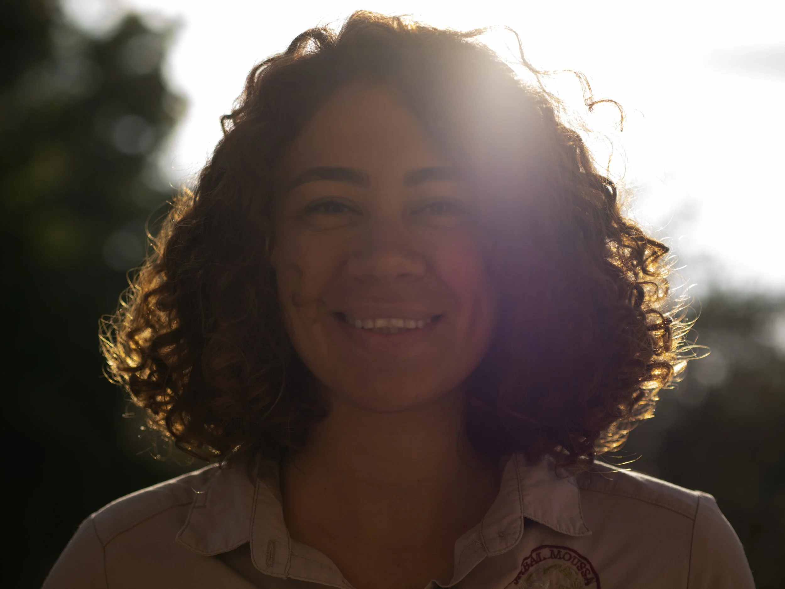 Hidden Mediterranean