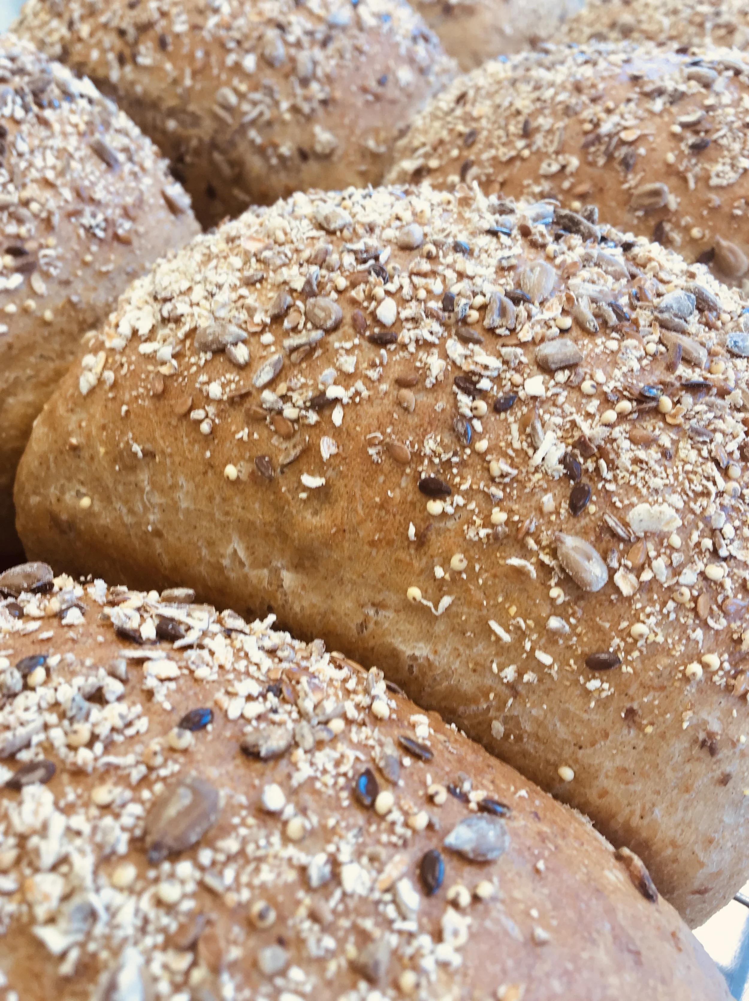 Wholemeal.jpg
