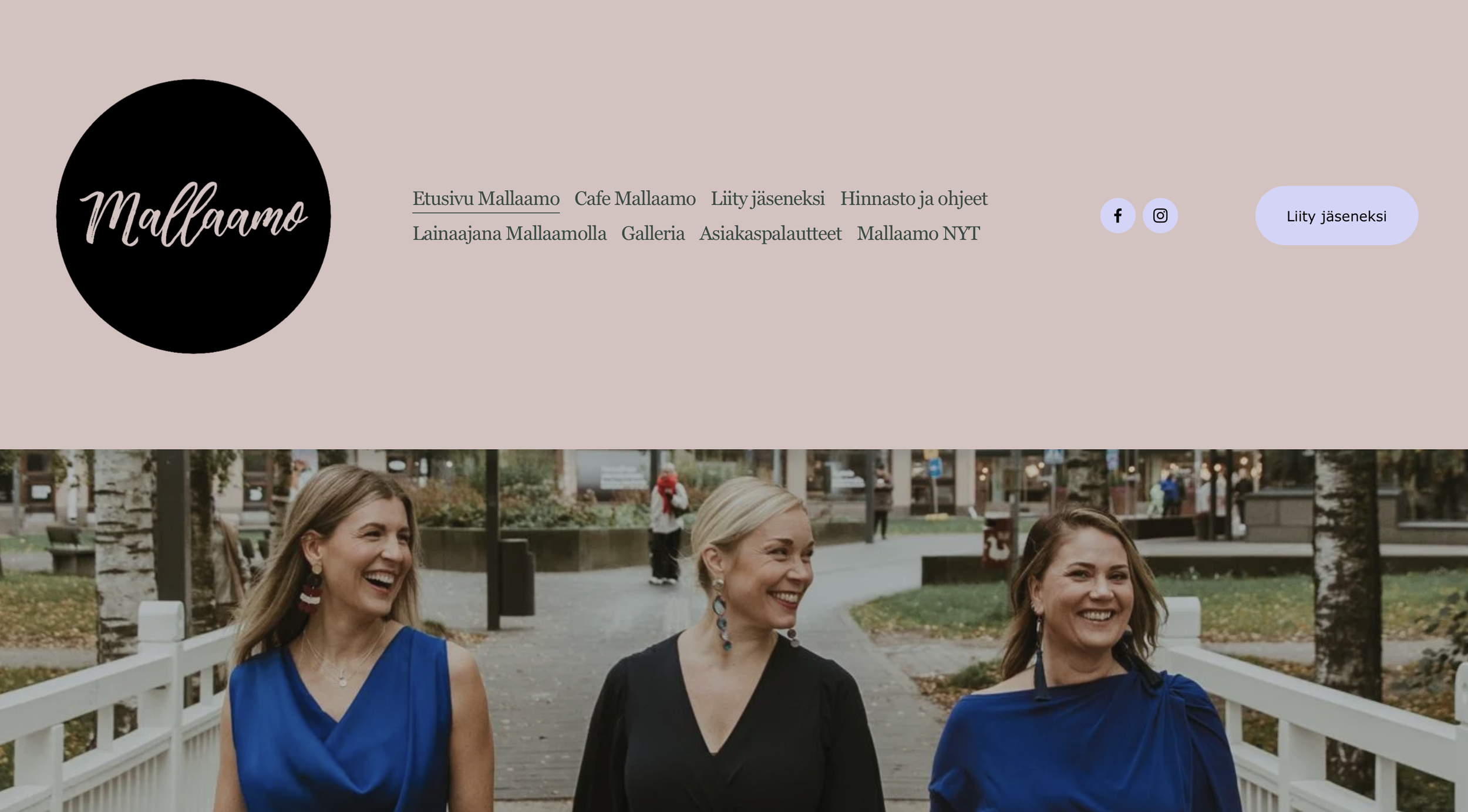 Mallaamo – verkkosivuston uudistus 