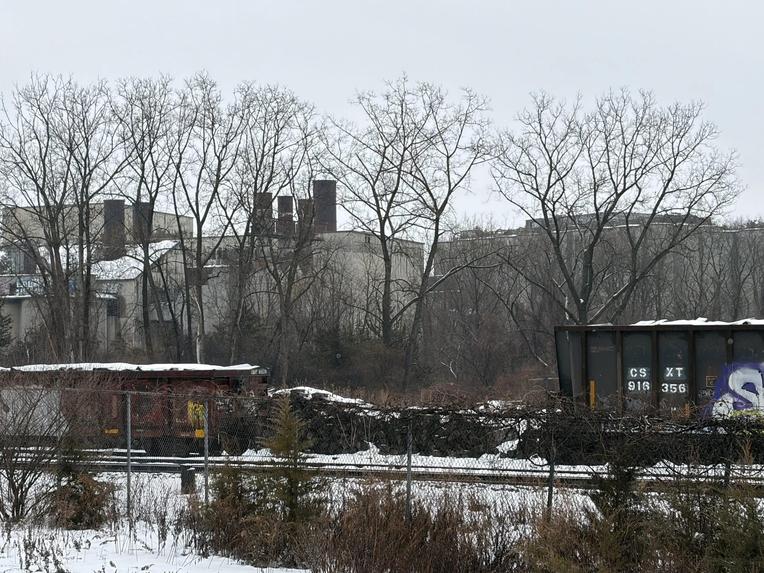 Cementon (Meeting Coverage)