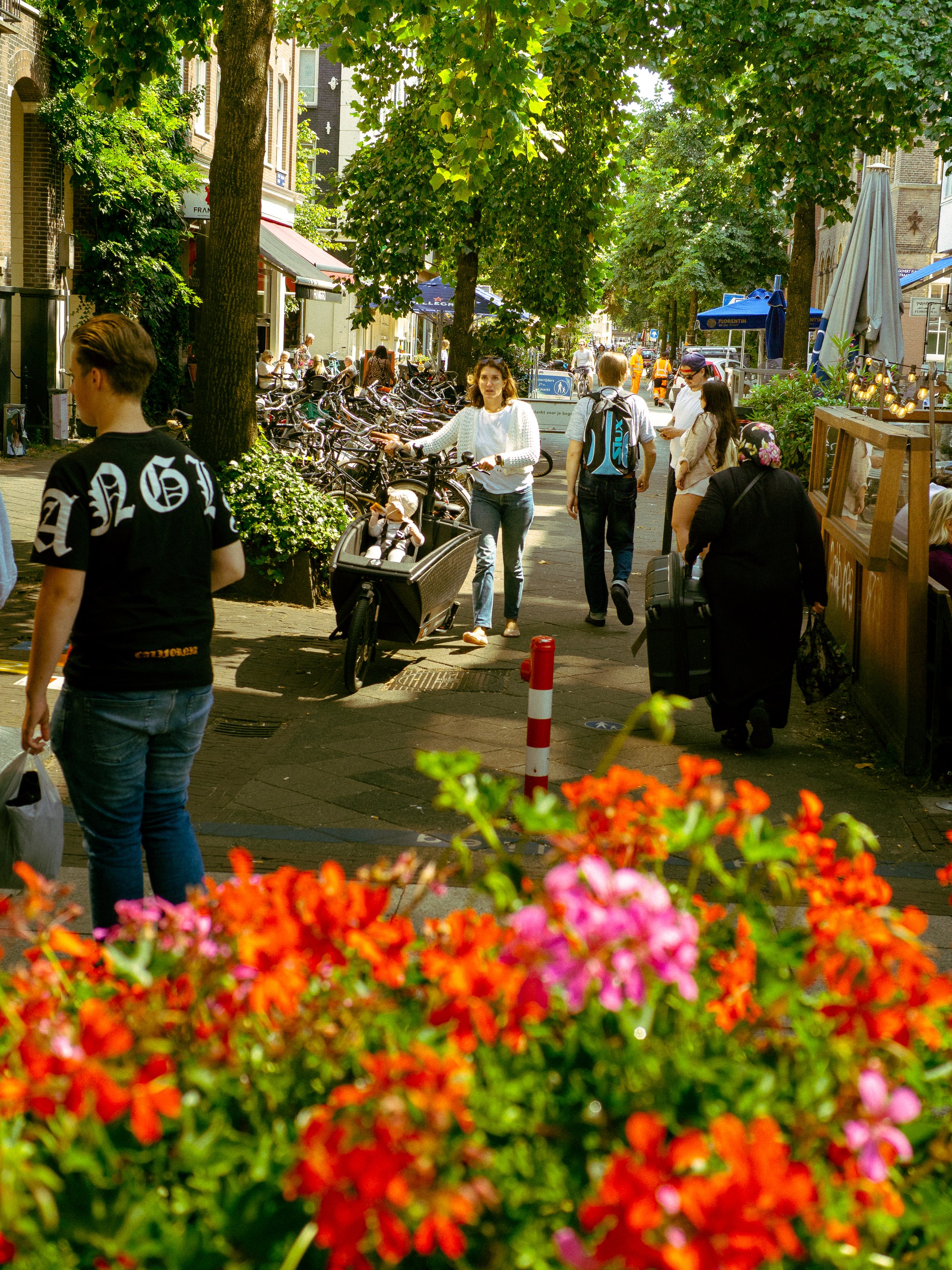 28.7.24-113.jpg