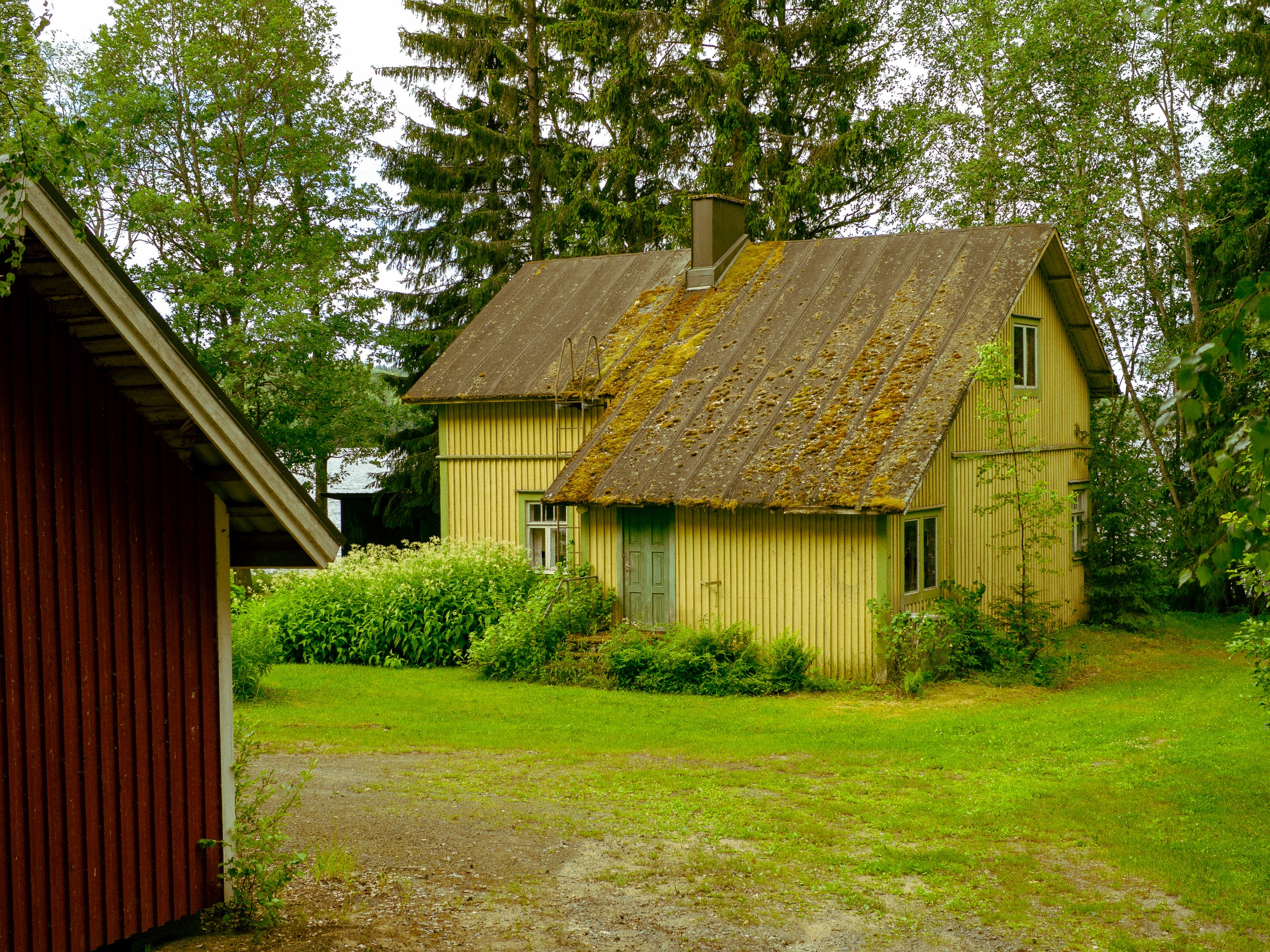 8.6.24-110.jpg