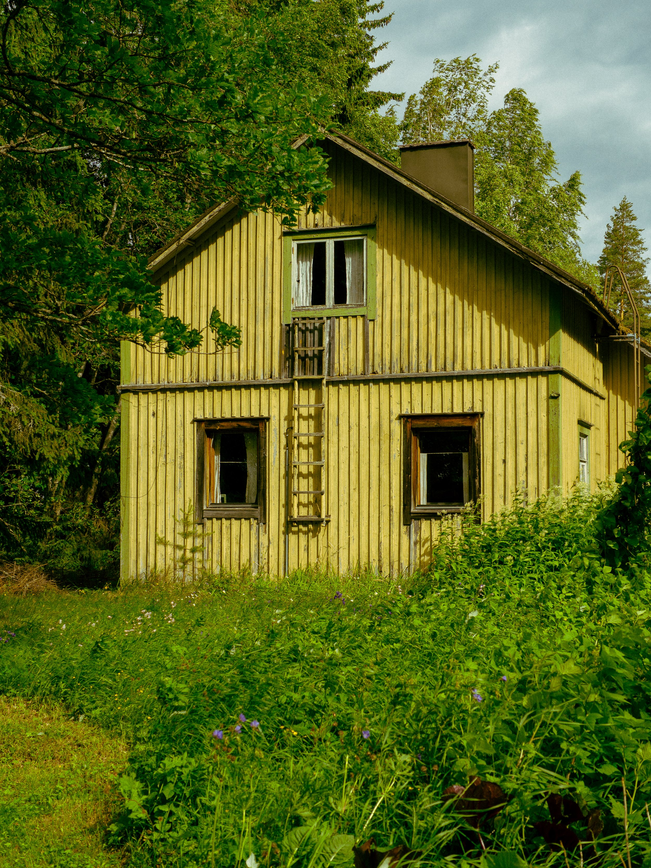 8.6.24-118.jpg