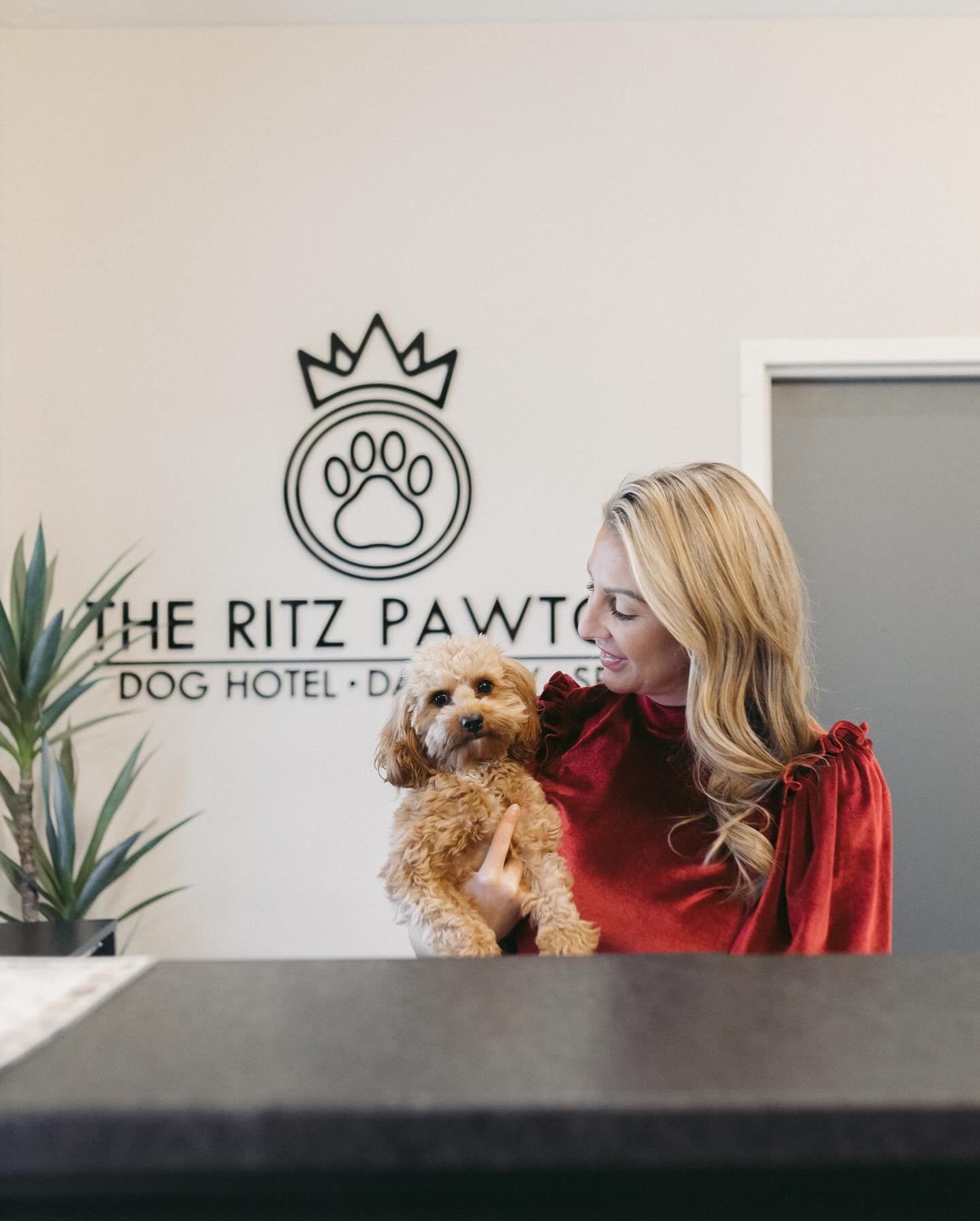 Happy National Dog Mom Day to all the amazing dog moms out there! Share your favorite dog mom moments with us for a chance to be featured. 🐾🐾

#nationaldogmomday #theritzpawton #northaugusta #luxurydogspa