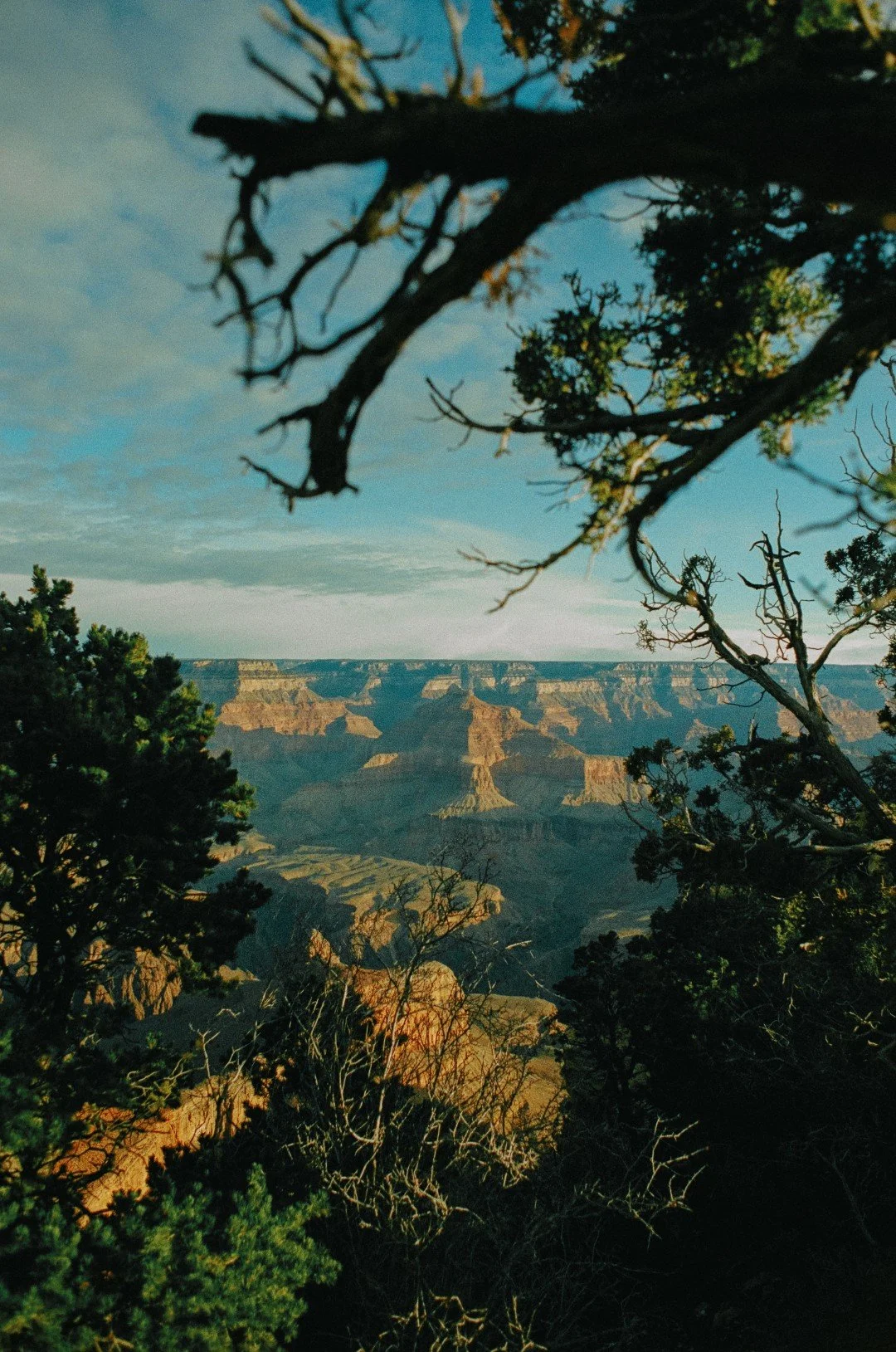 Grand Canyon FE2 Portra 400 2-25 12 (Large).jpg
