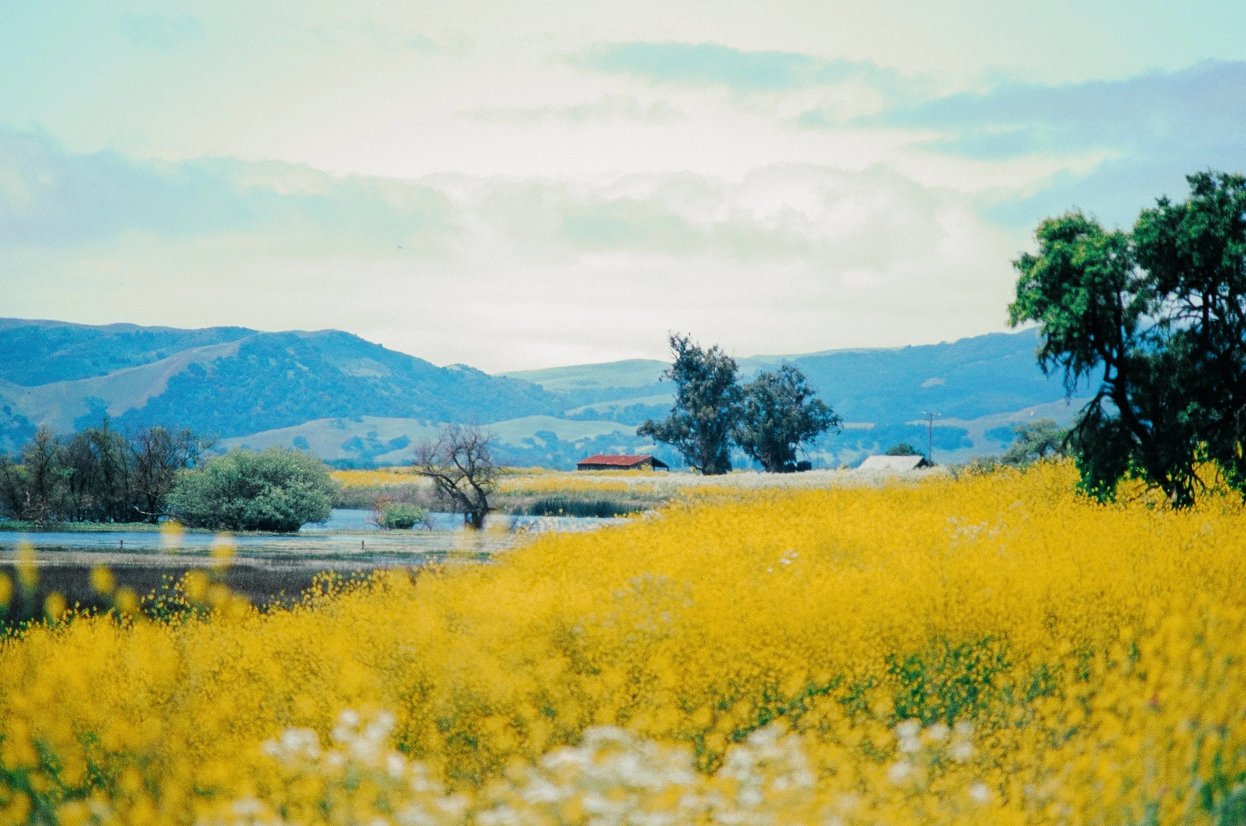 The-Yosemite 35mm Misc Travel Shots-56.jpg