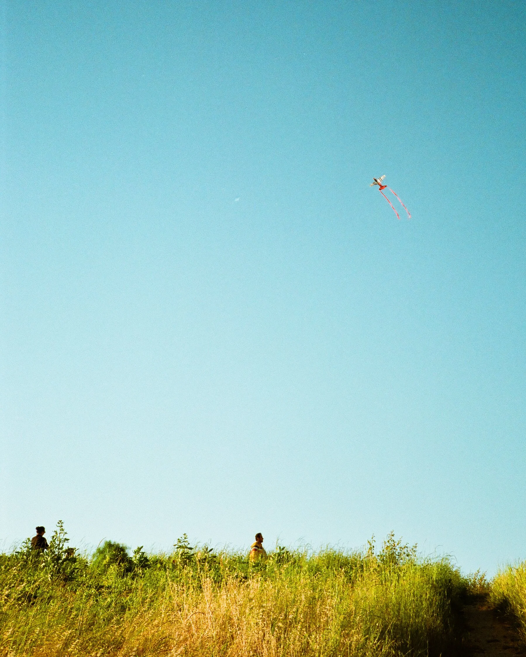 The-Father with Kite San Mateo-1.jpg
