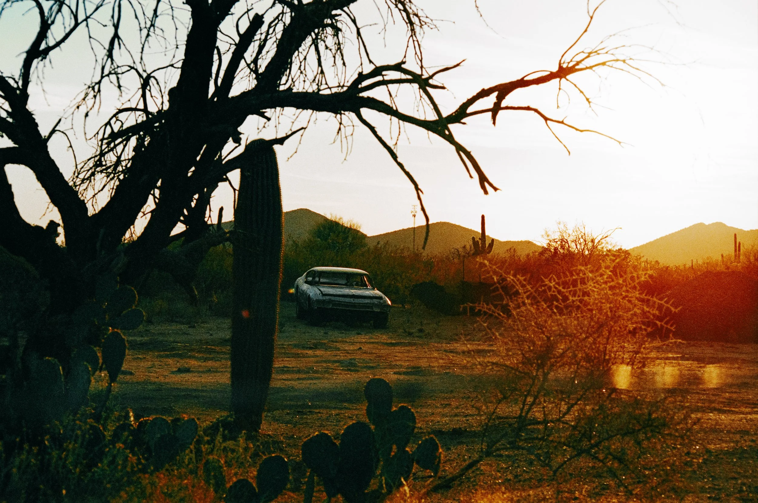 AZ Misc 2 FE2 Gold 200 2-25 18.jpg