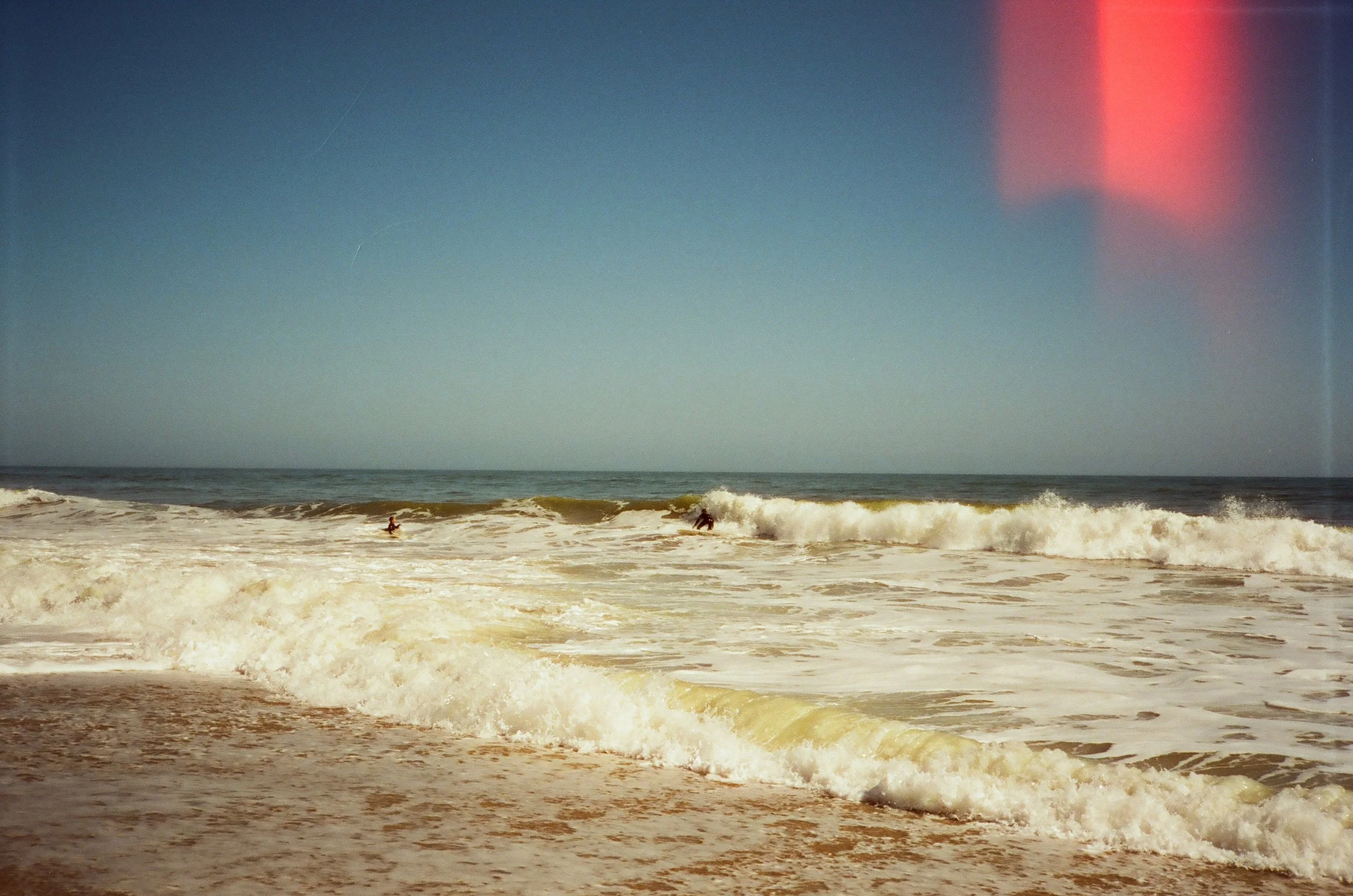 Honest Imperfections - Yashica AutoFocus Motor