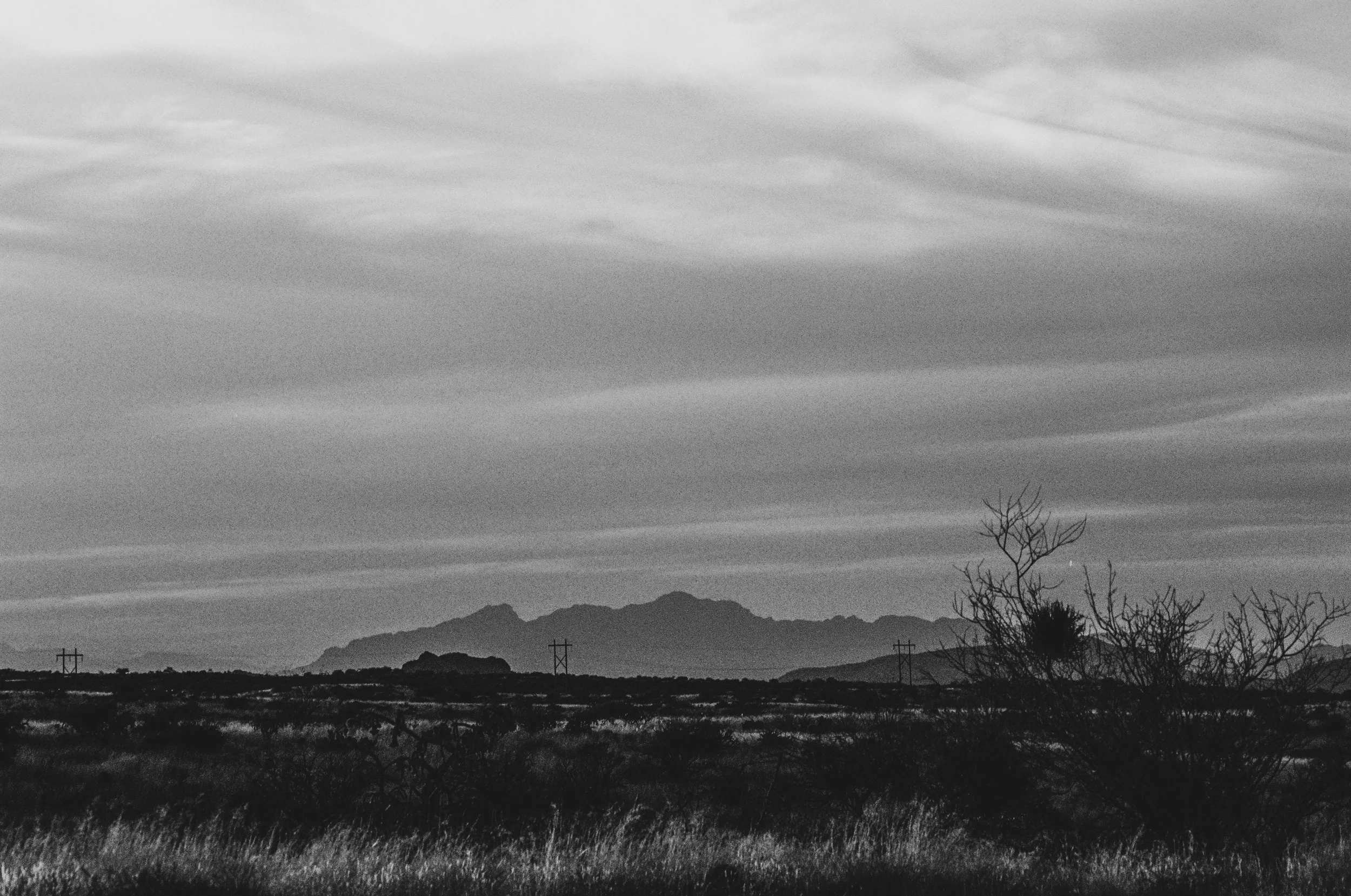 AZ Misc 2 FE2 Gold 200 2-25 23.jpg