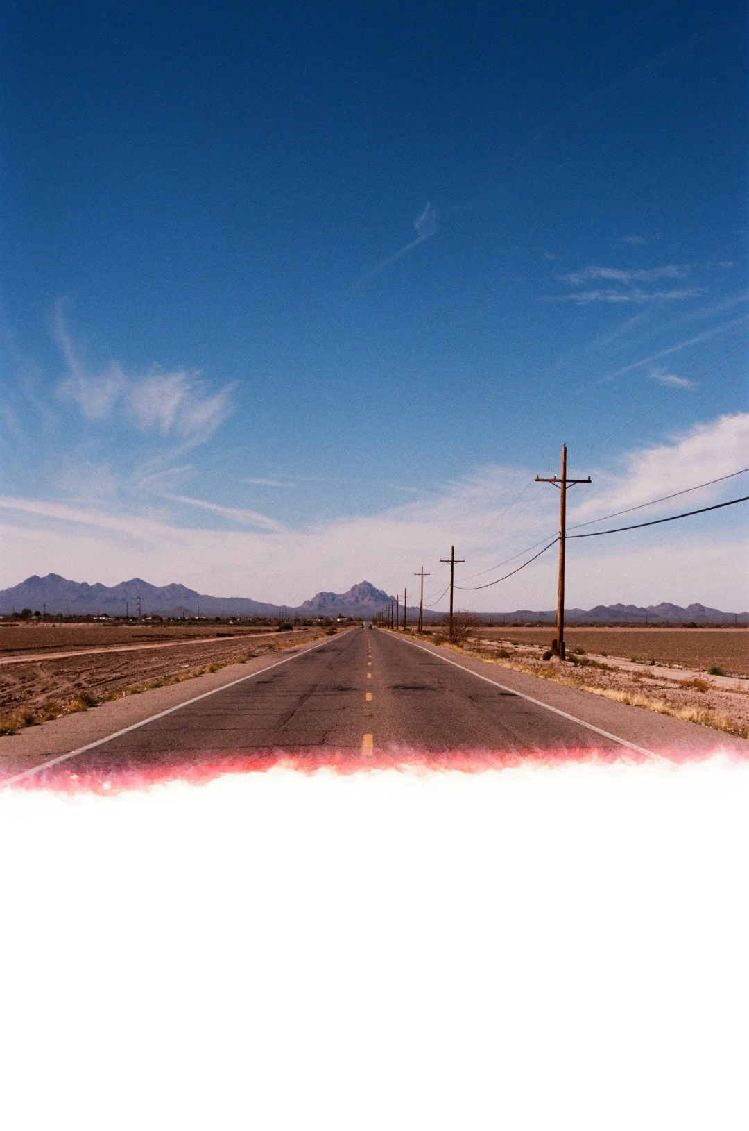 AZ Misc FE2 Portra 400 2-25 1 (Large).jpg