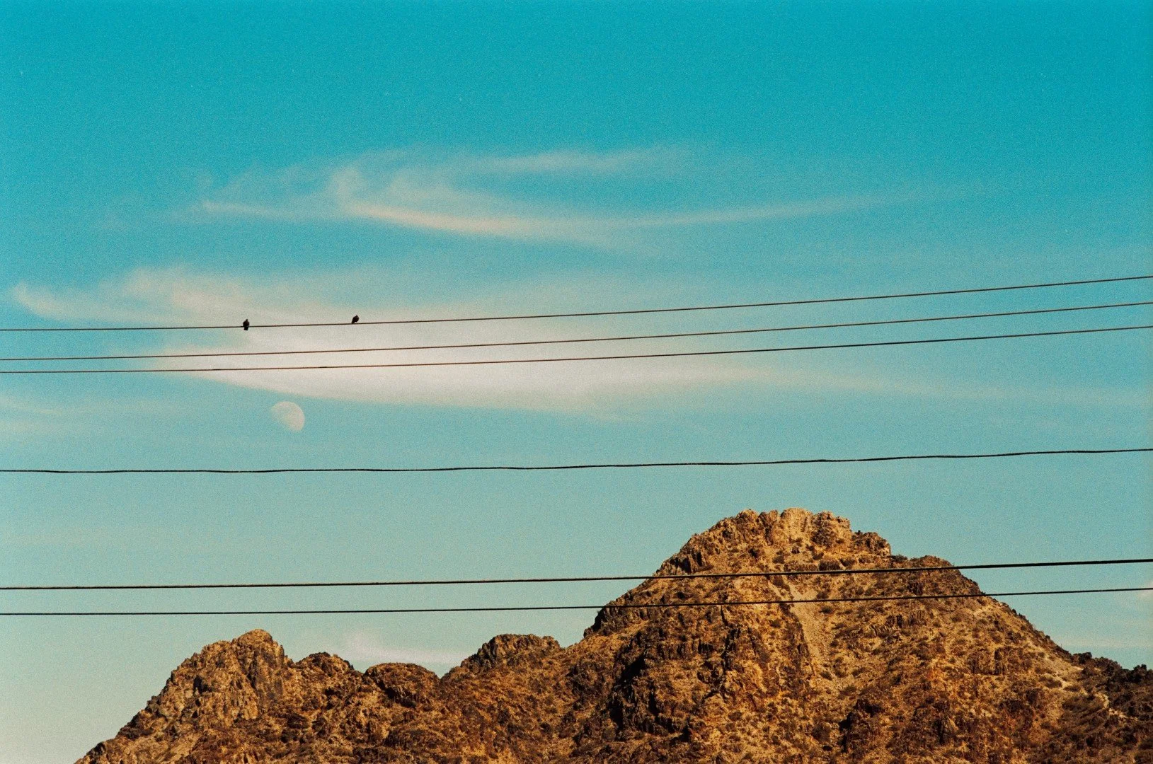 AZ Misc 2 FE2 Gold 200 2-25 1 (Large).jpg