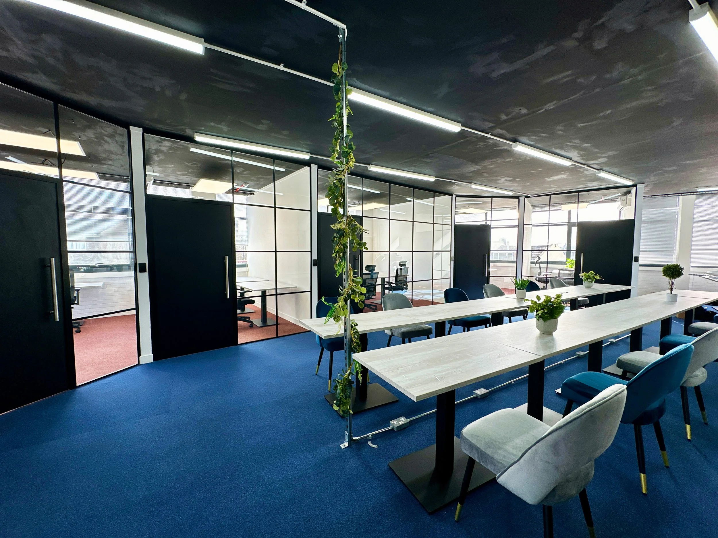 Modern office space with blue carpet, glass partition walls, long white tables, black chairs, and potted plants.