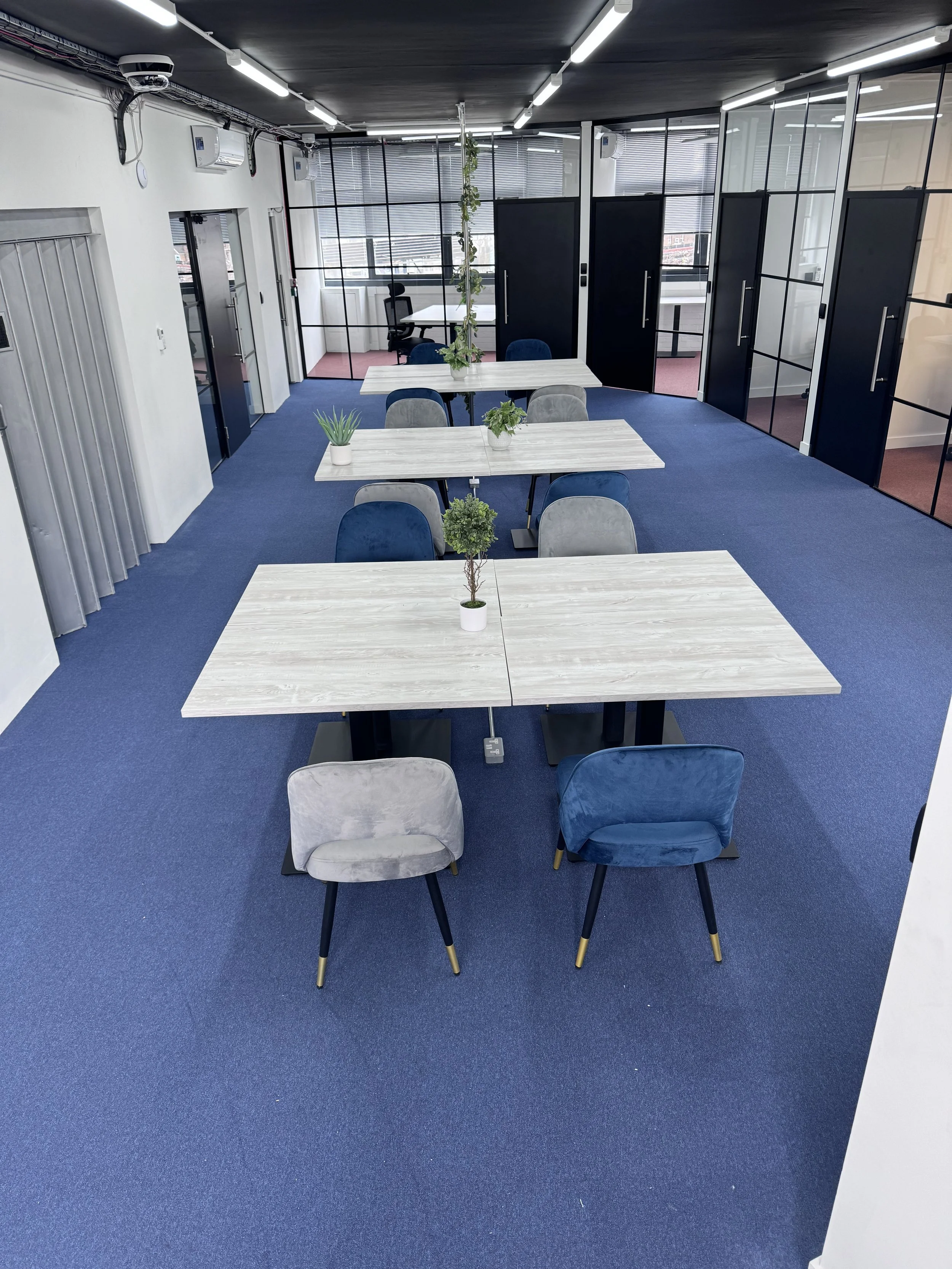 Modern office space with blue carpet, white tables, gray and blue chairs, glass partitions, and small potted plants on tables.