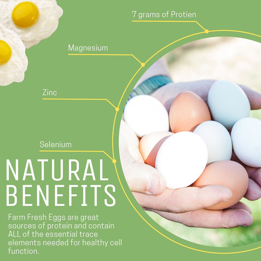 Did you know that our bodies often absorb nutrients and minerals better from meat and eggs than from Vitamin supplements?

🥚 Eggs are great sources of protein and contain all of the essential trace elements needed for healthy cell function. 
&hearts