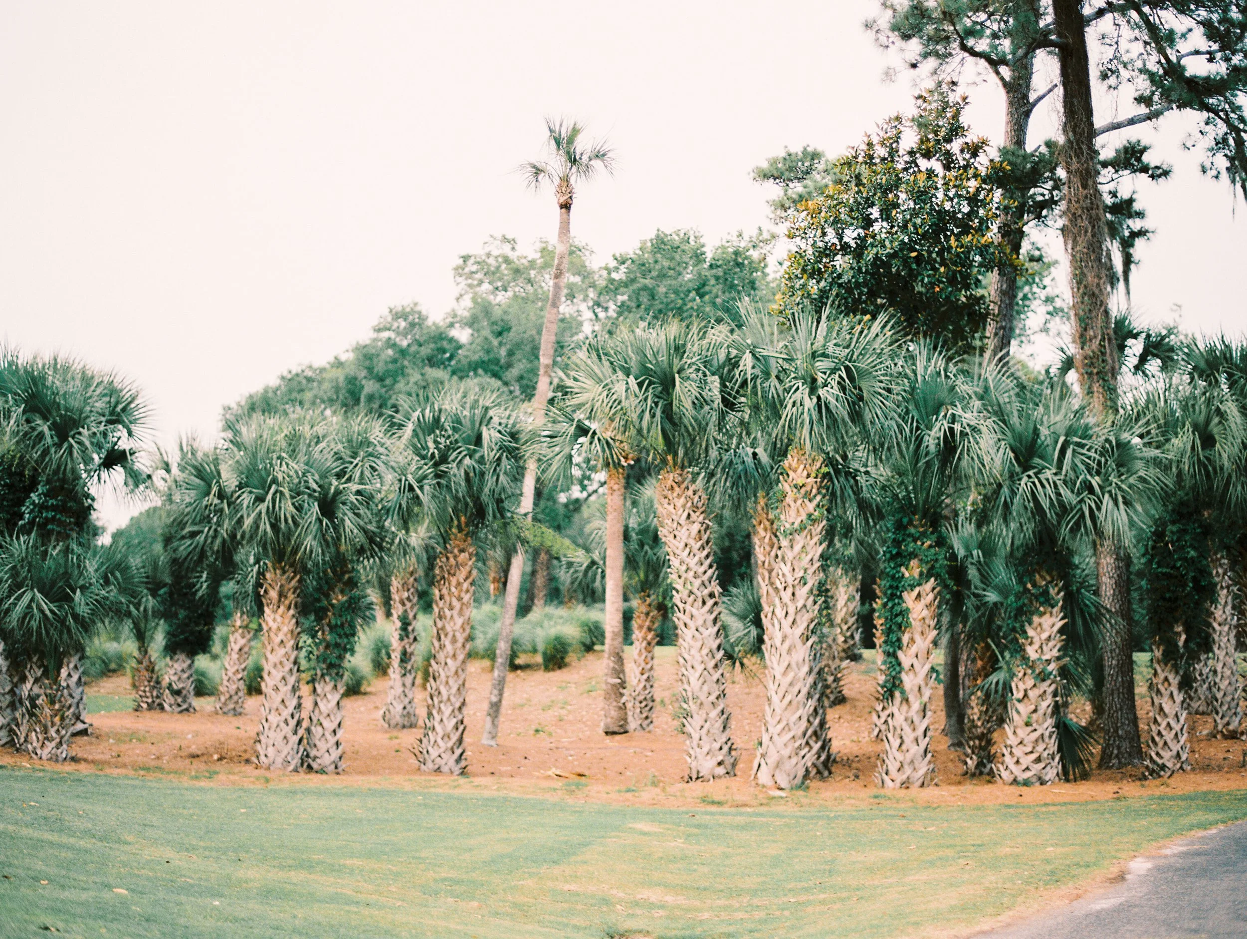 Untitled-13033.jpg