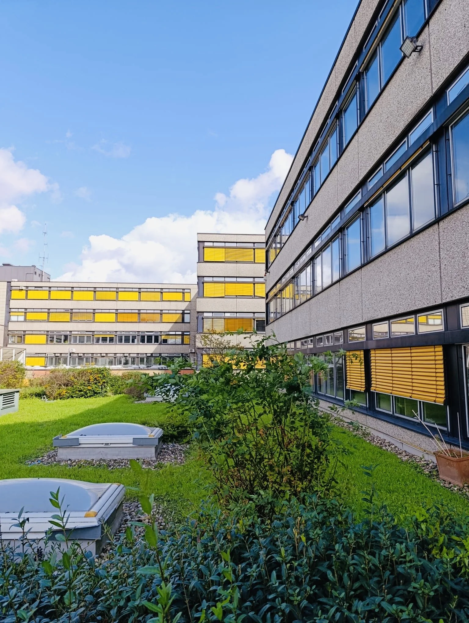 4174eeb3-77b5-49aa-9b9e-5b3b3a7fc0c6 2.jpg