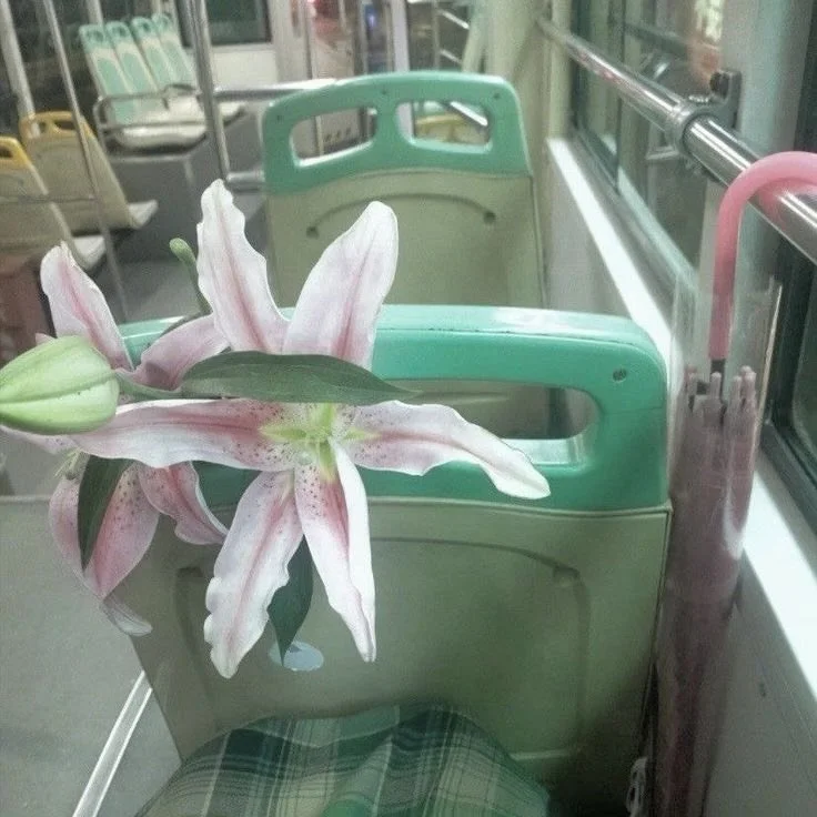 it&rsquo;s spring time