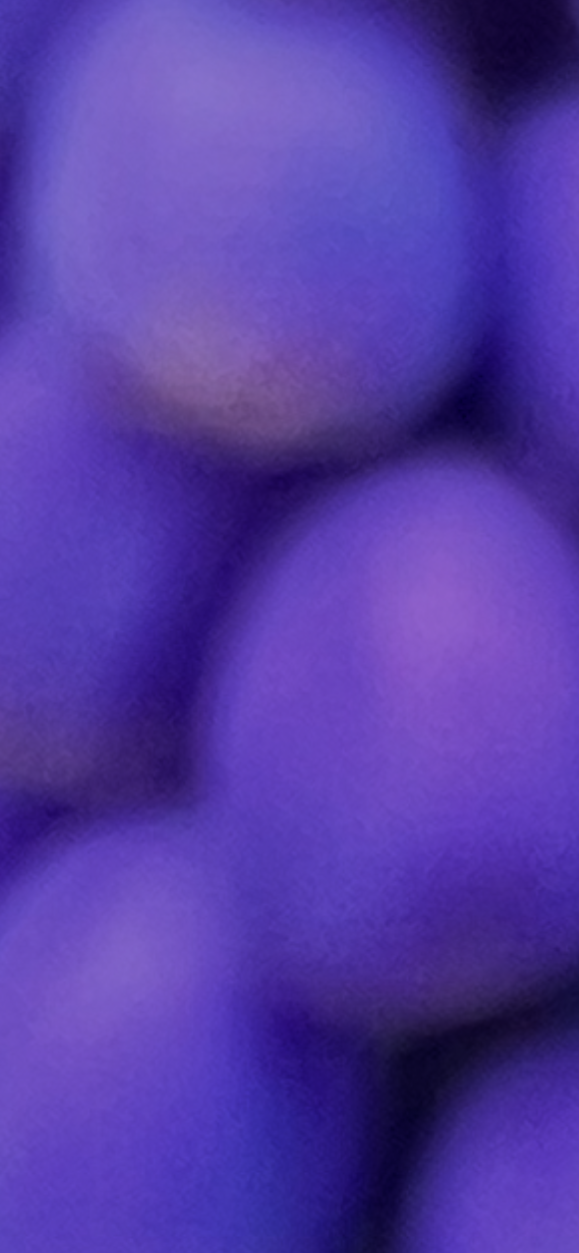 IMG_7898.PNG