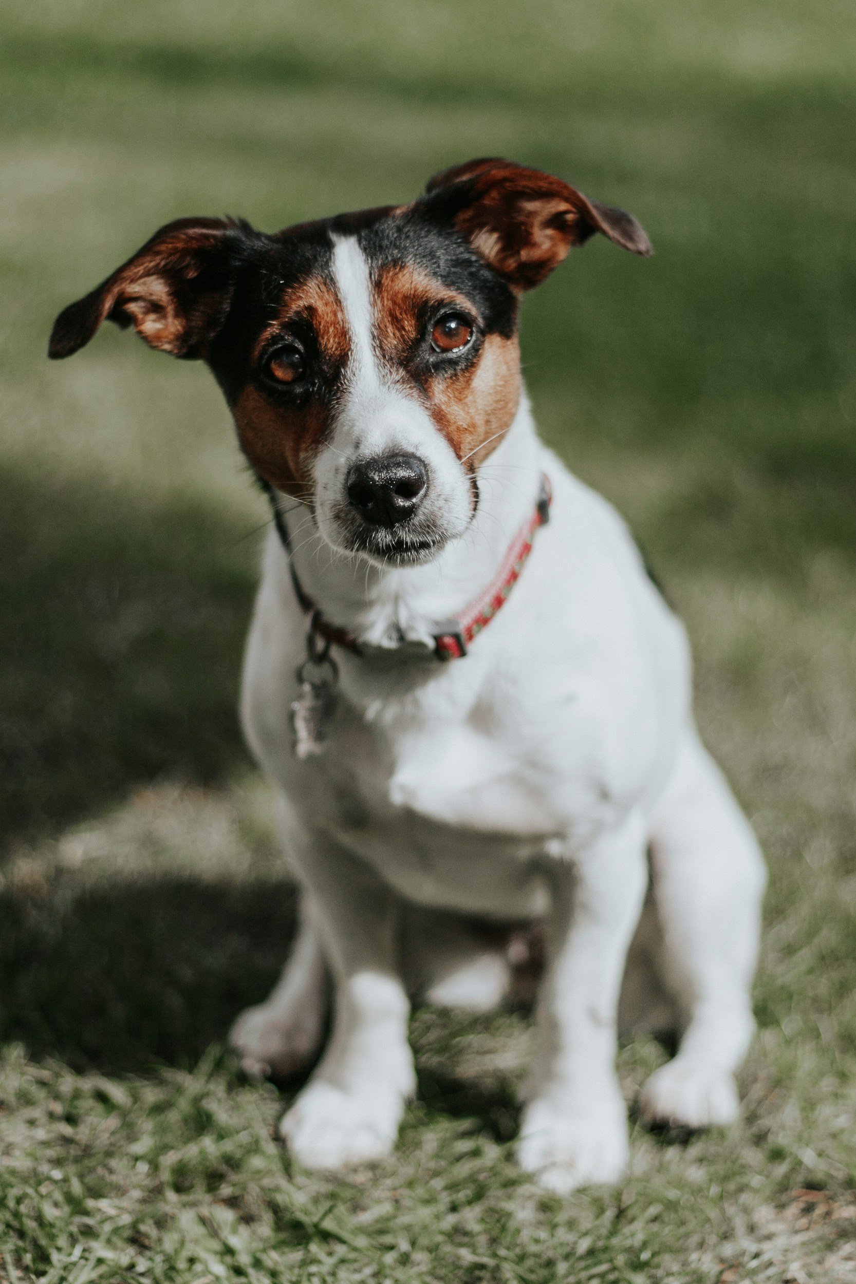 unsplash-image-XaJozZyfTa0.jpg